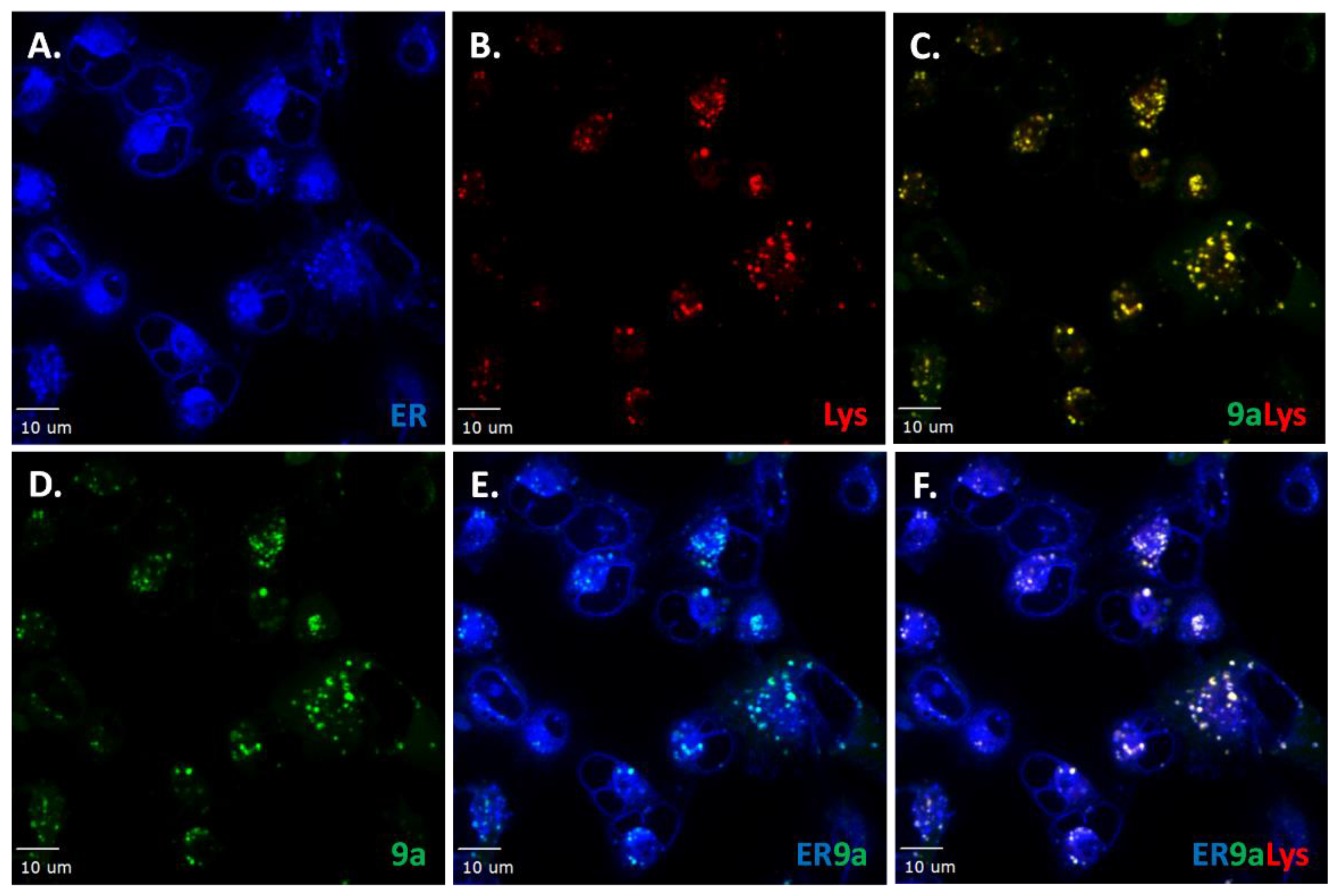 Molecules 24 02012 g008 Molecules 24 02012 g008