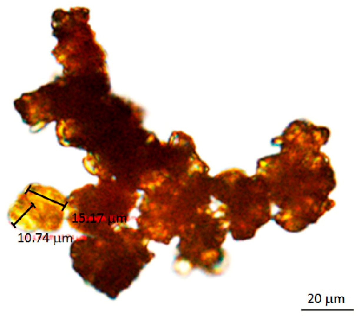 Molecules 24 02013 g007 Molecules 24 02013 g007