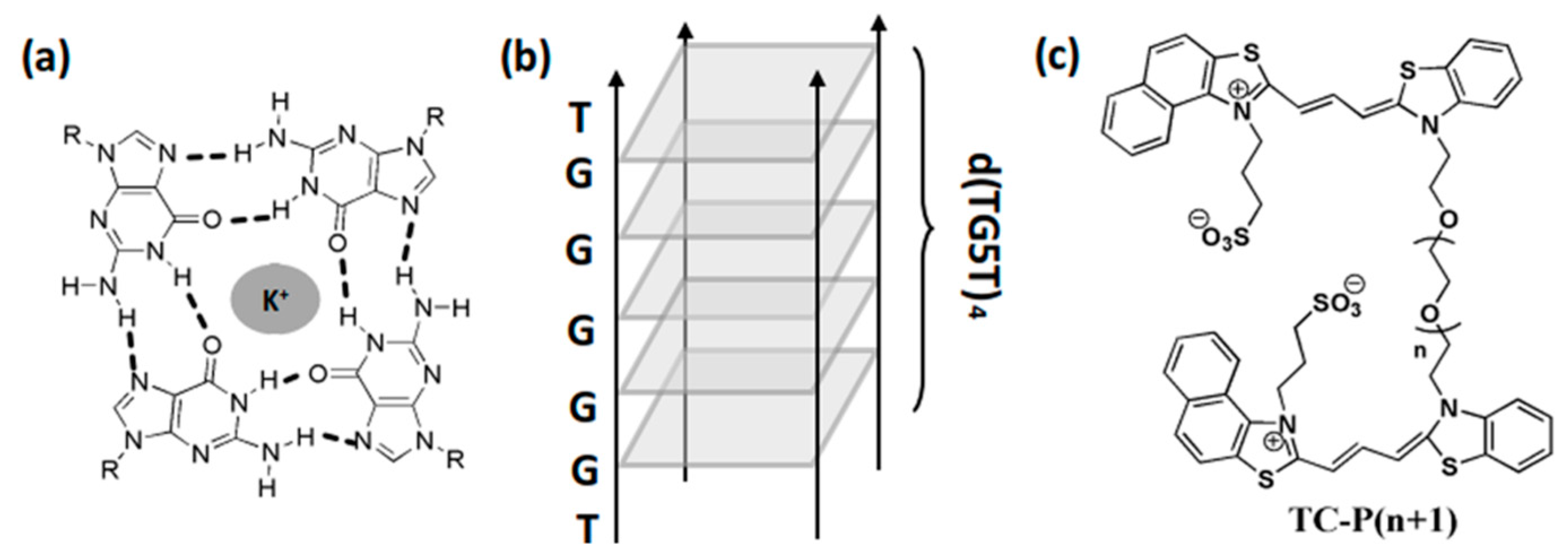 Molecules Free Full Text Disassembly Of Dimeric Cyanine Dye Supramolecular Assembly By Tetramolecular G Quadruplex Dependence On Linker Length And Layers Of G Quartet Html