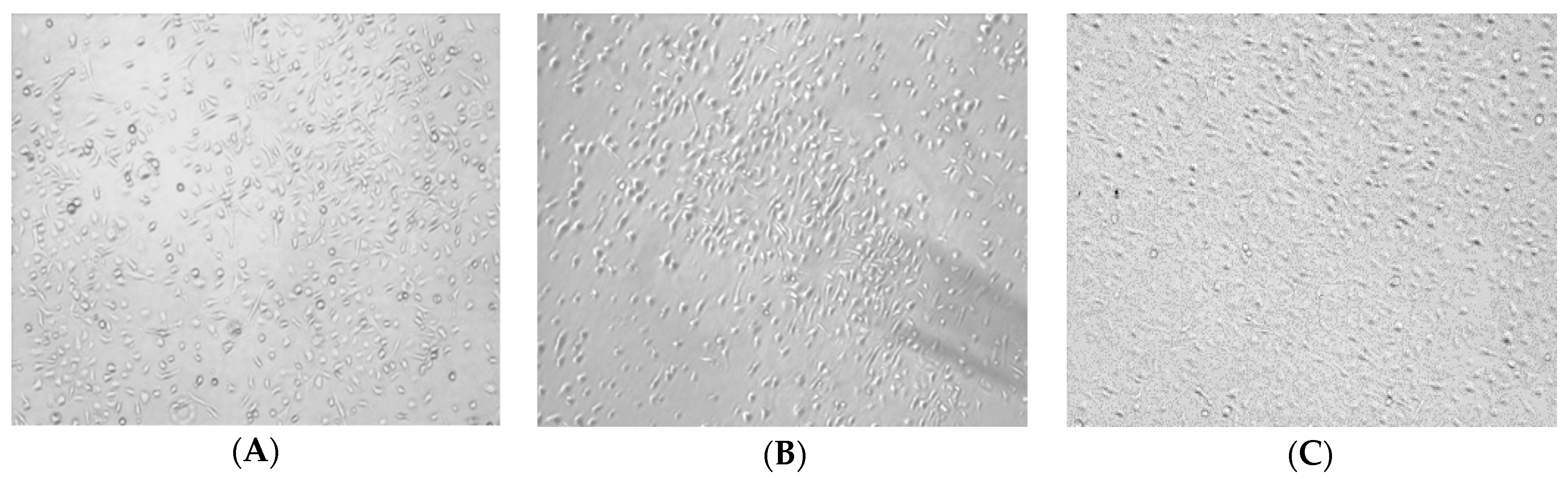 Molecules 24 02016 g002a Molecules 24 02016 g002a