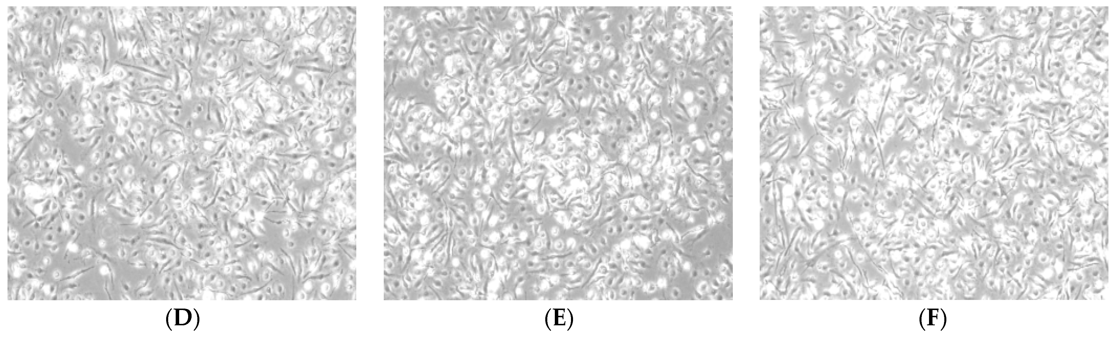 Molecules 24 02016 g002b Molecules 24 02016 g002b