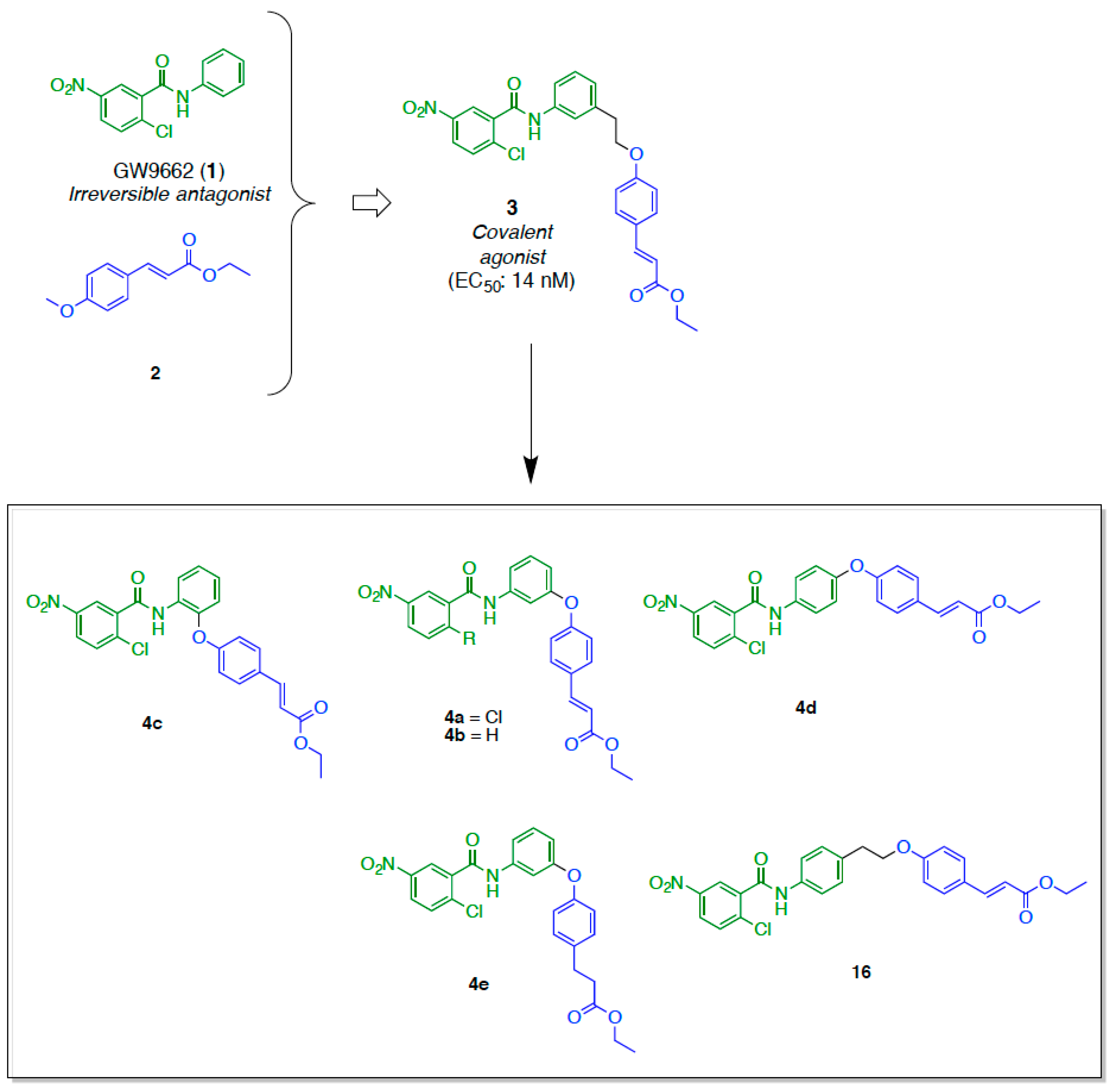 Molecules 24 02019 g001