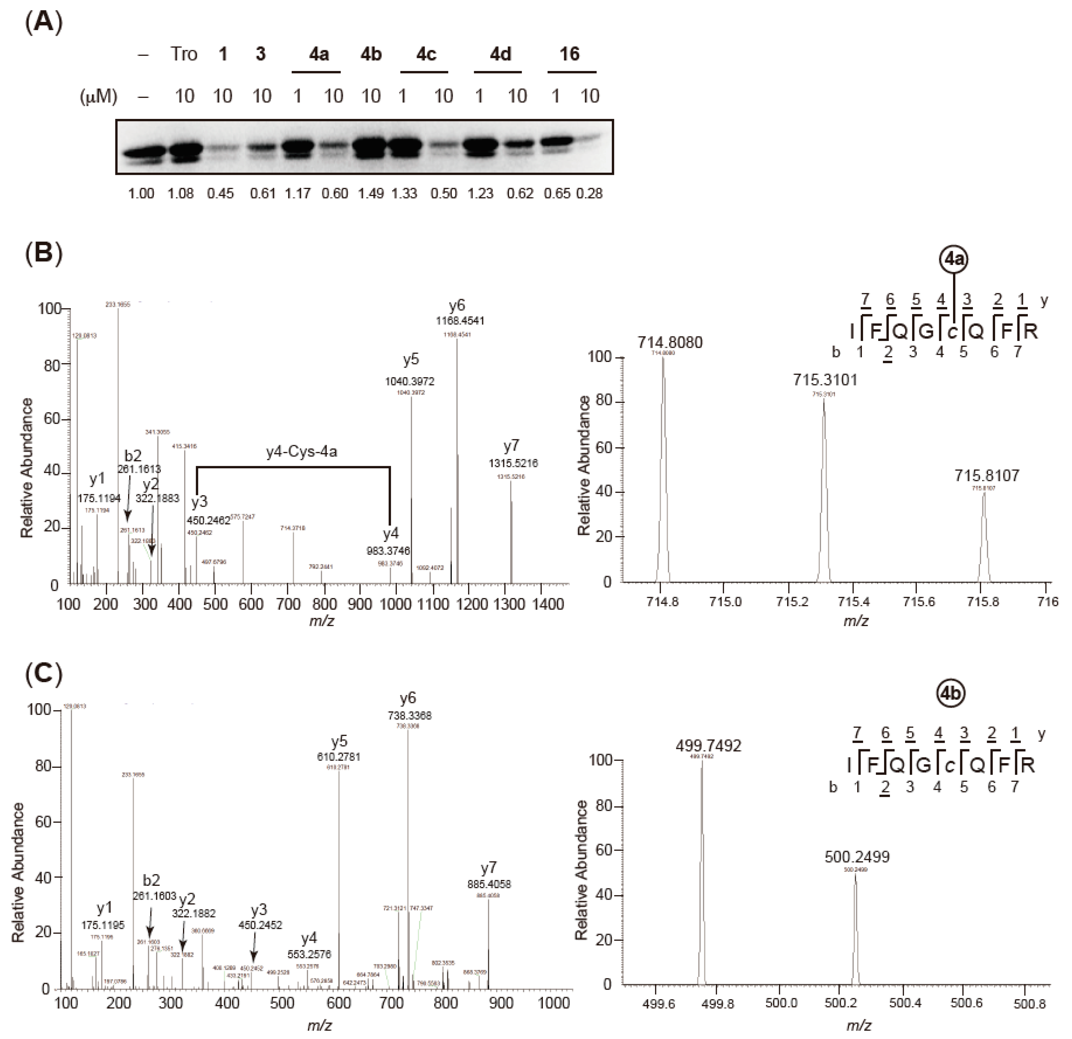 Molecules 24 02019 g003