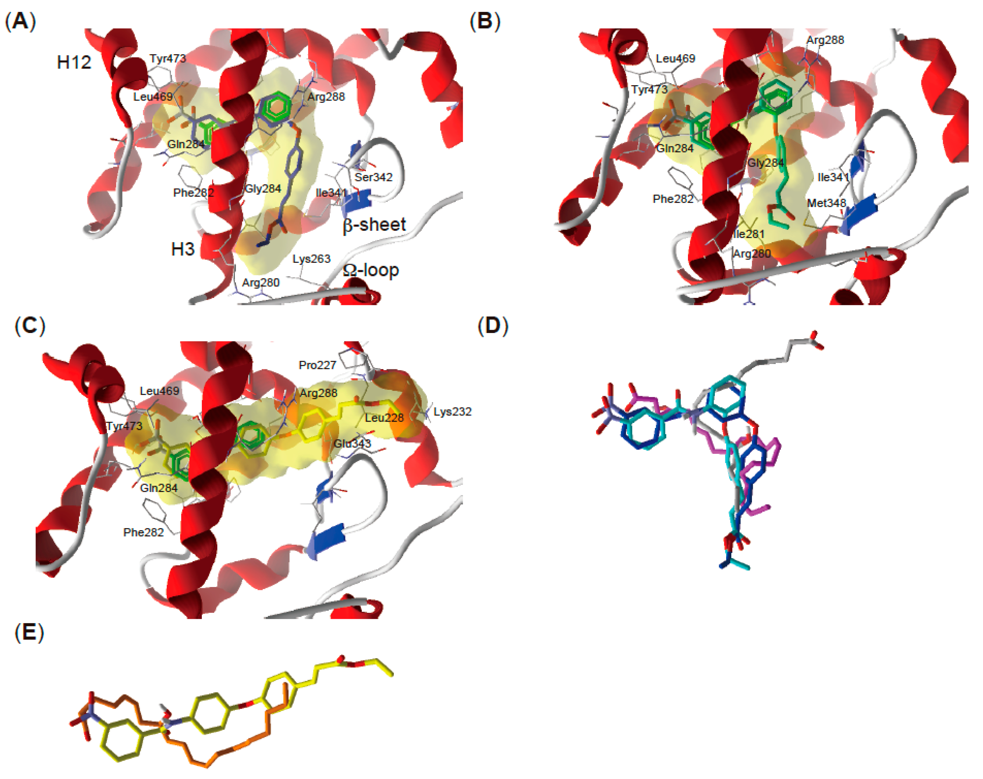 Molecules 24 02019 g004