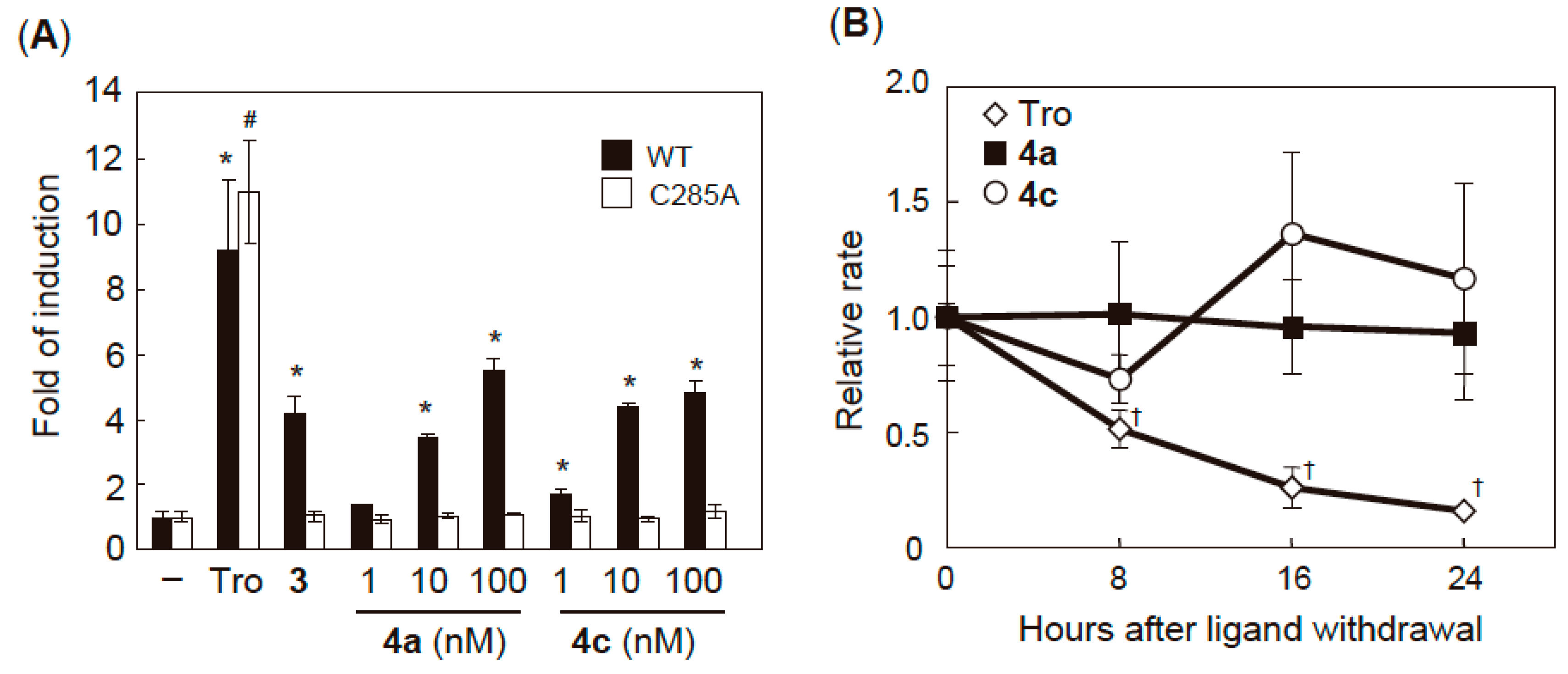 Molecules 24 02019 g005