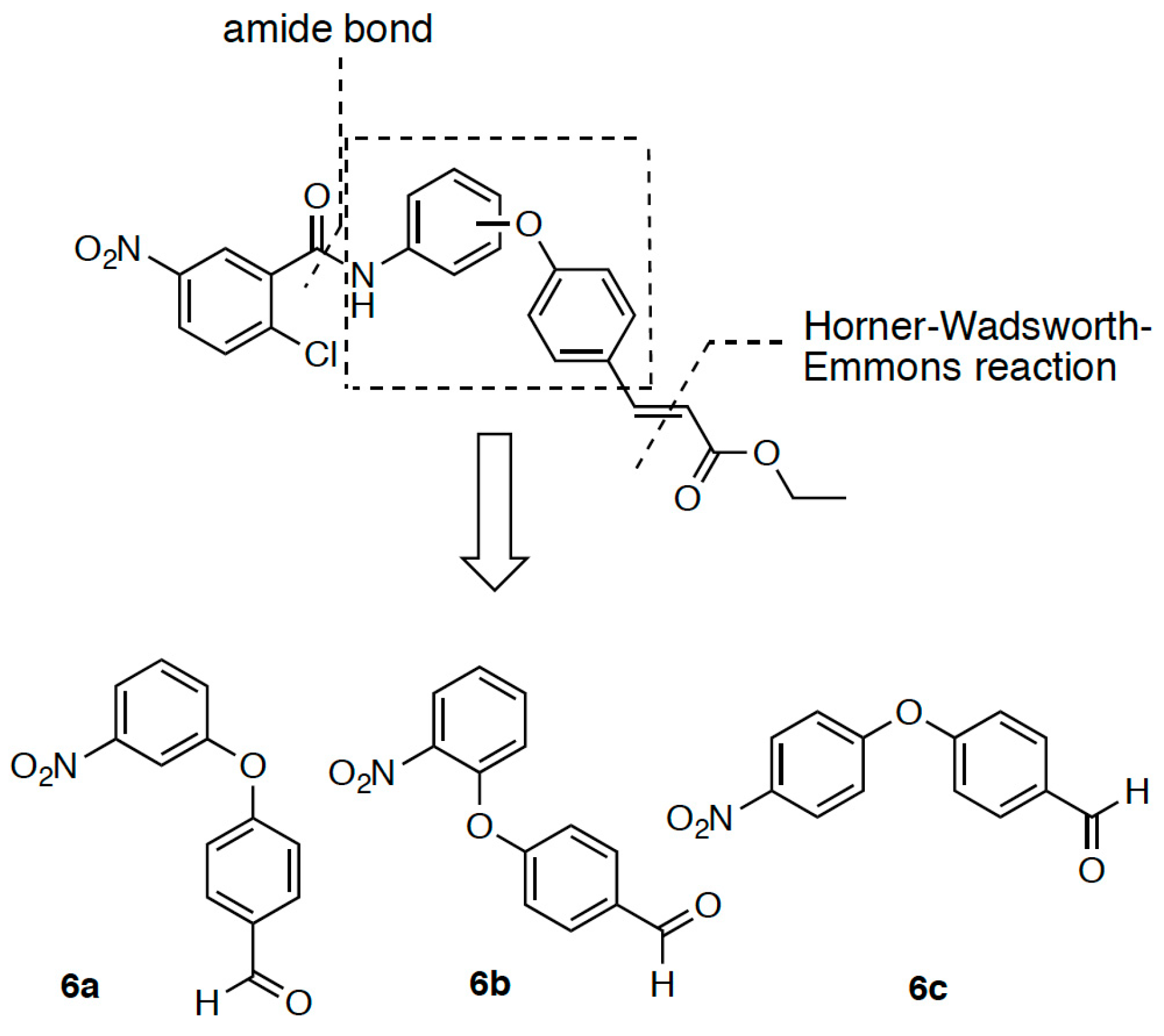 Molecules 24 02019 sch001