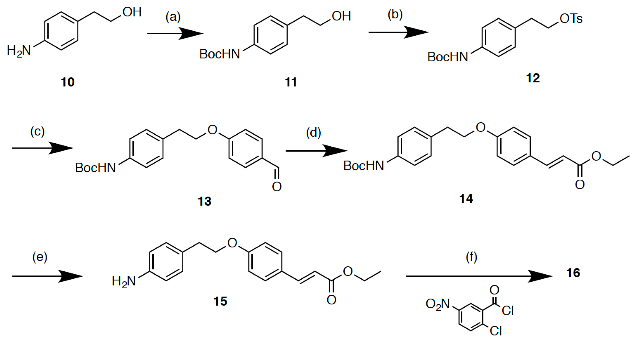 Molecules 24 02019 sch003