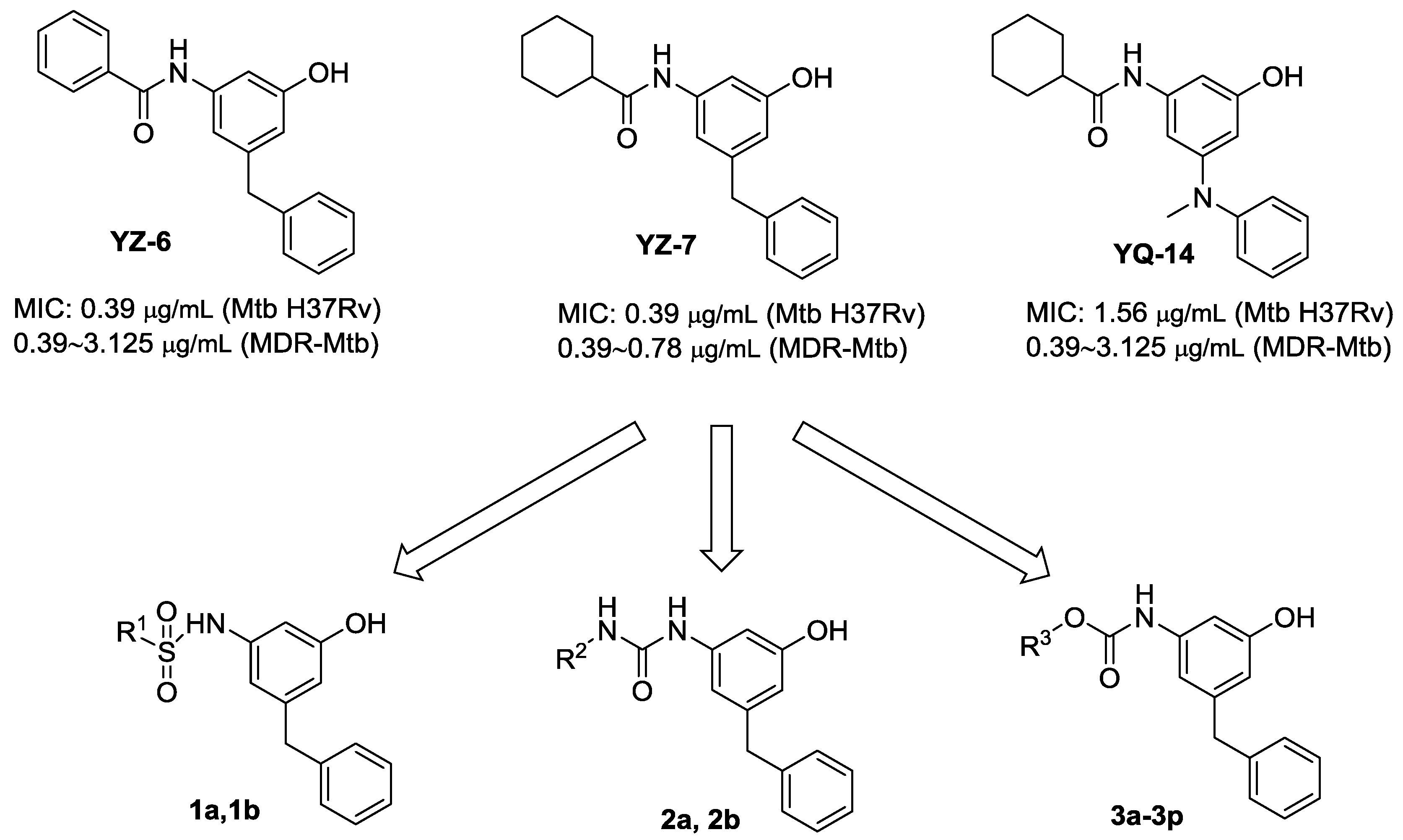 Molecules 24 02021 sch001