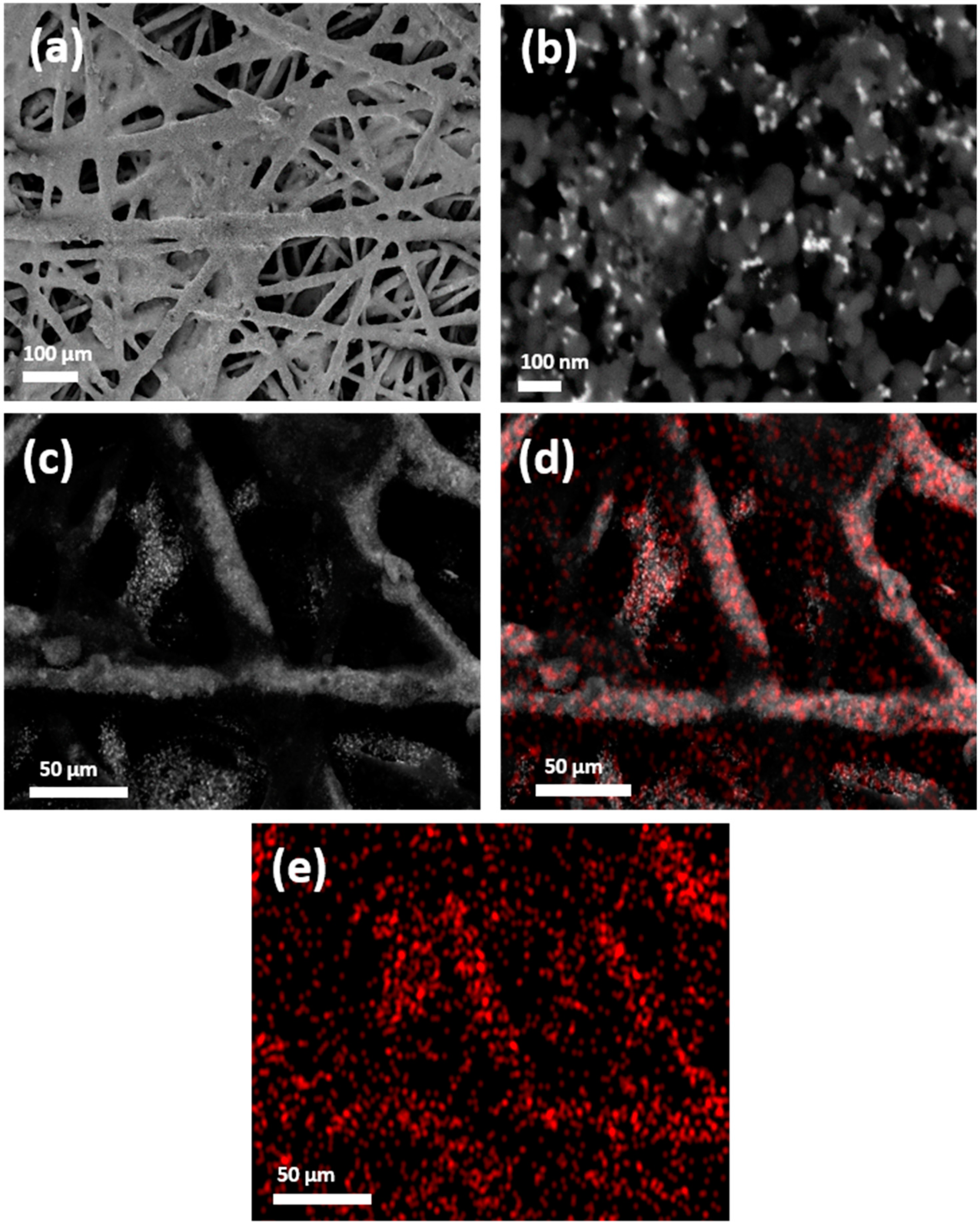 Molecules 24 02032 g002 550