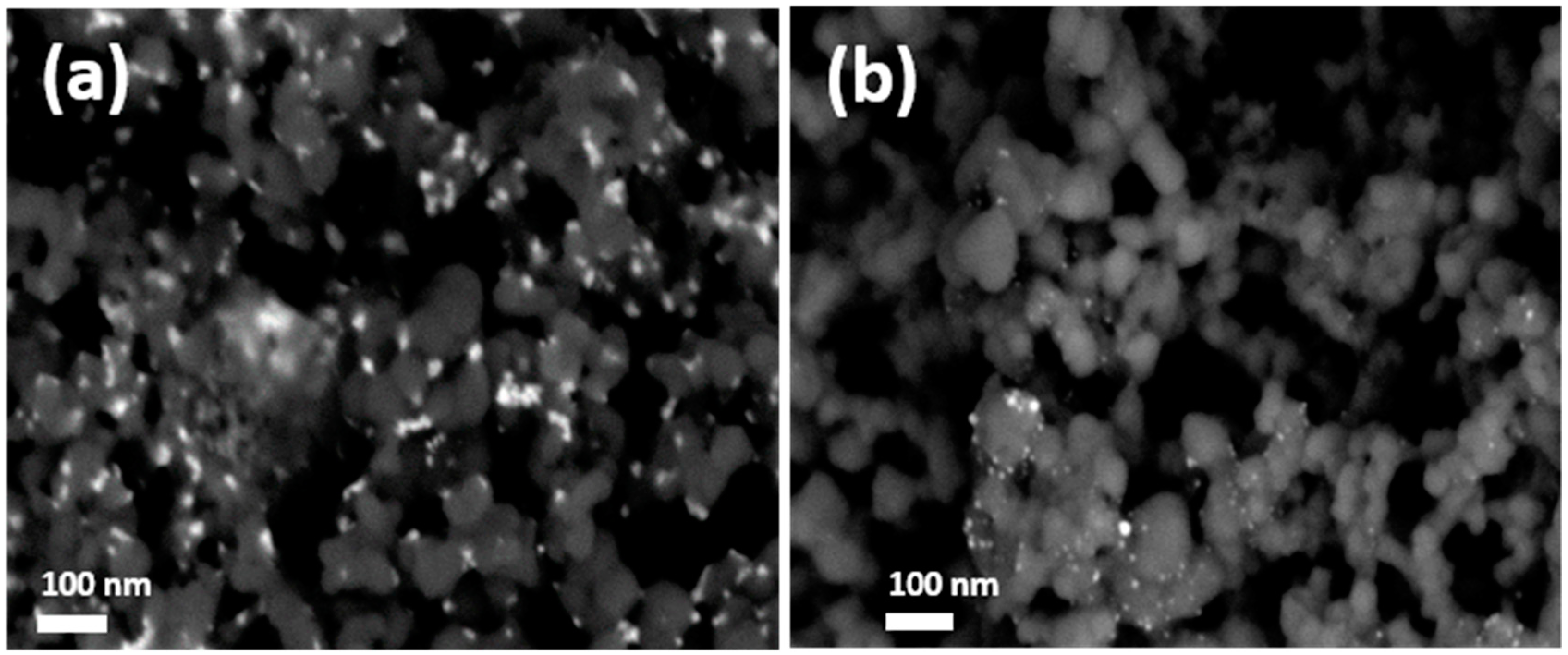 Molecules 24 02032 g005 550