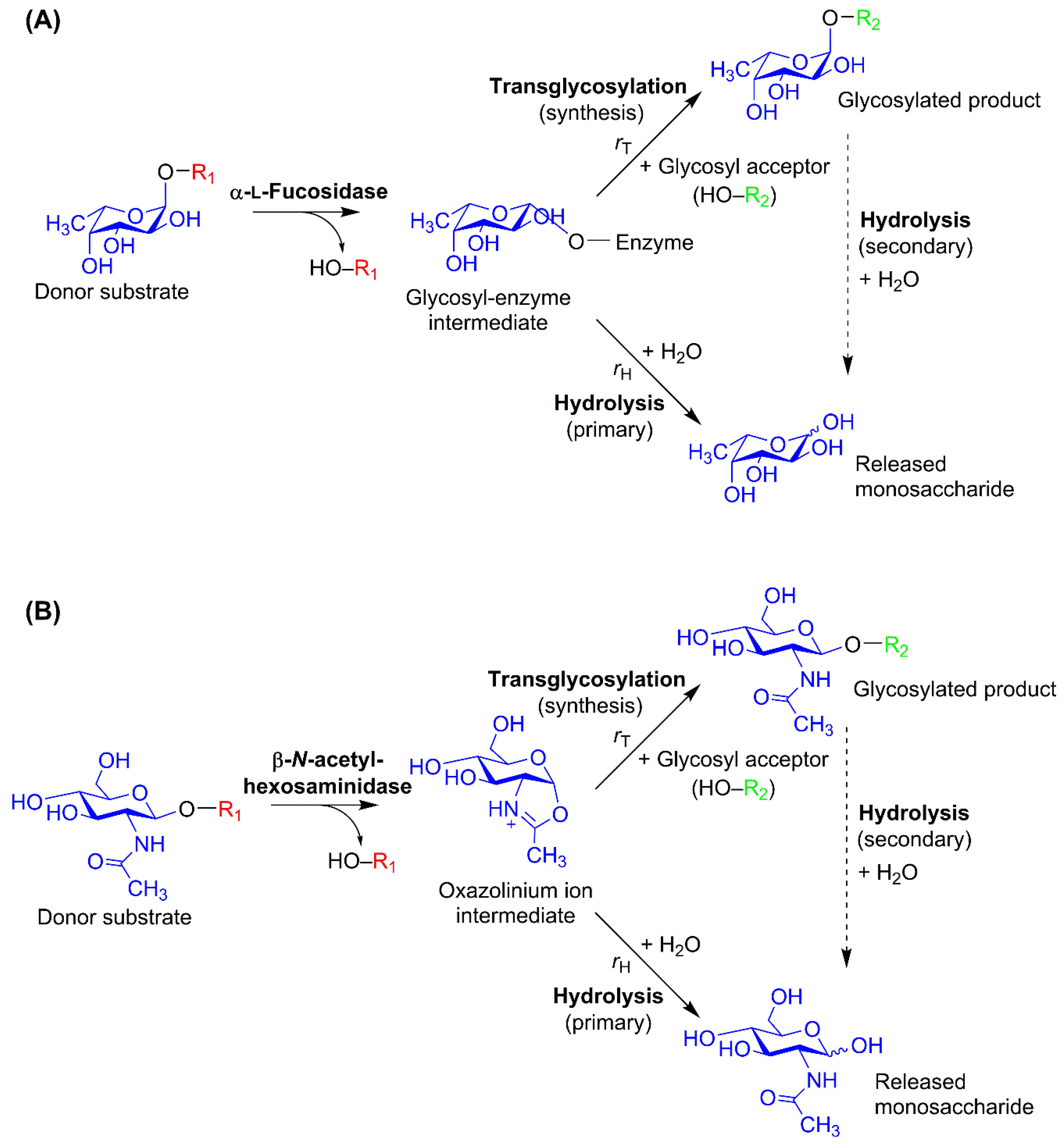 Molecules 24 02033 g002
