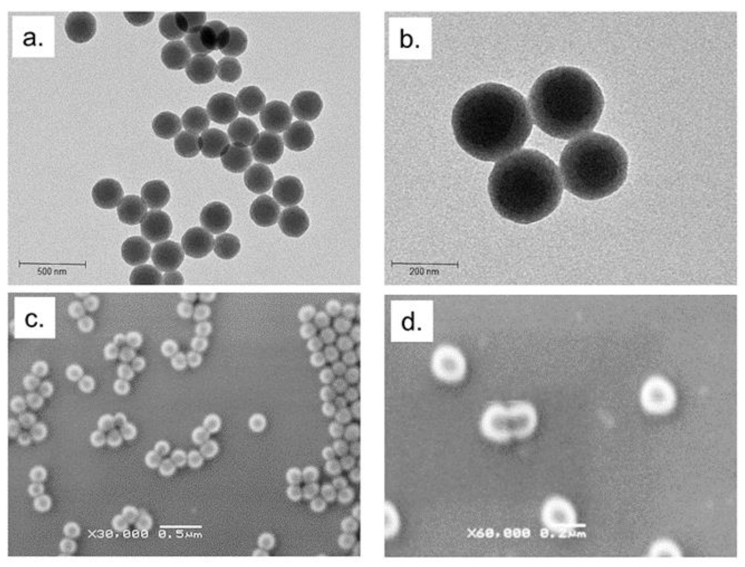 Molecules 24 02034 g001