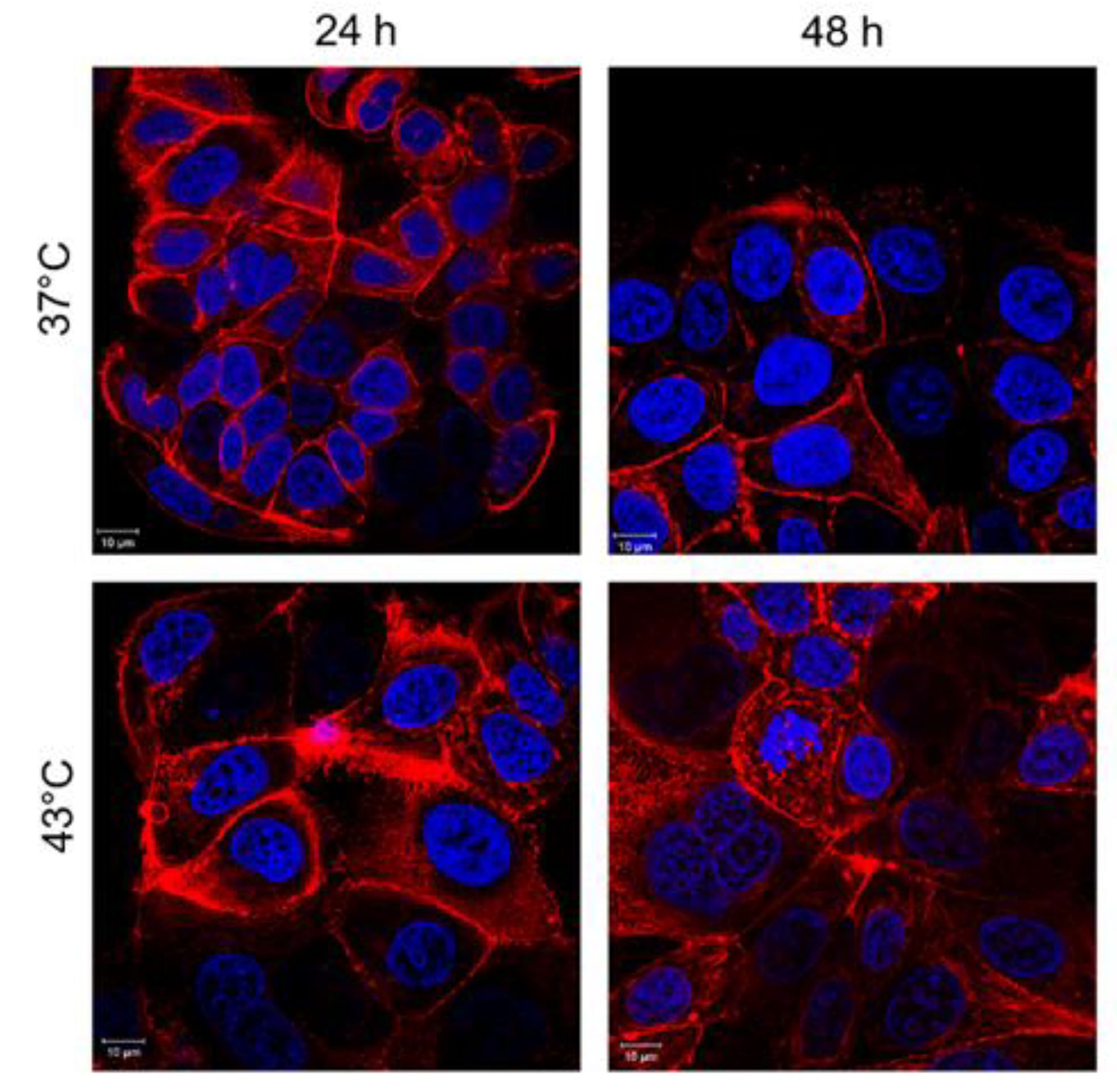 Molecules 24 02034 g008