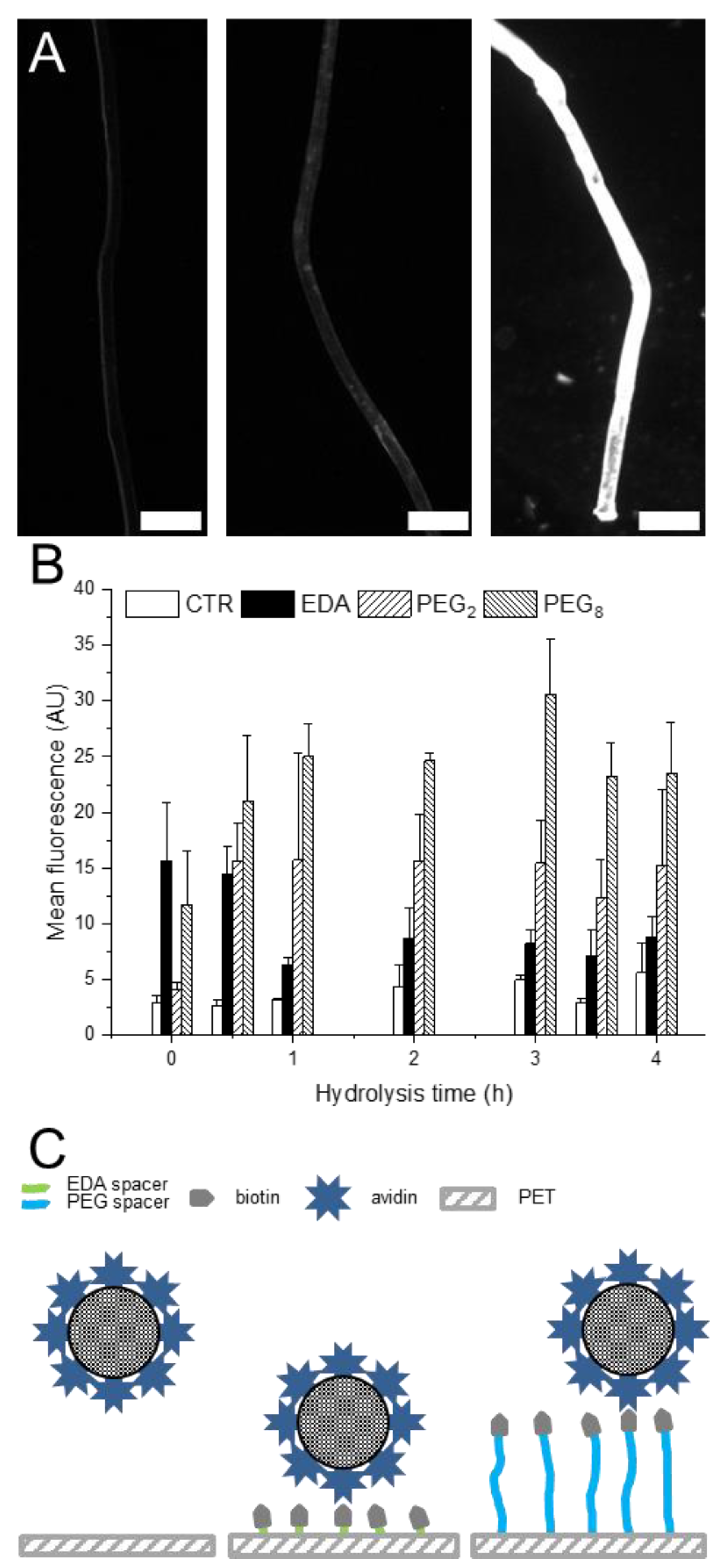 Molecules 24 02036 g003