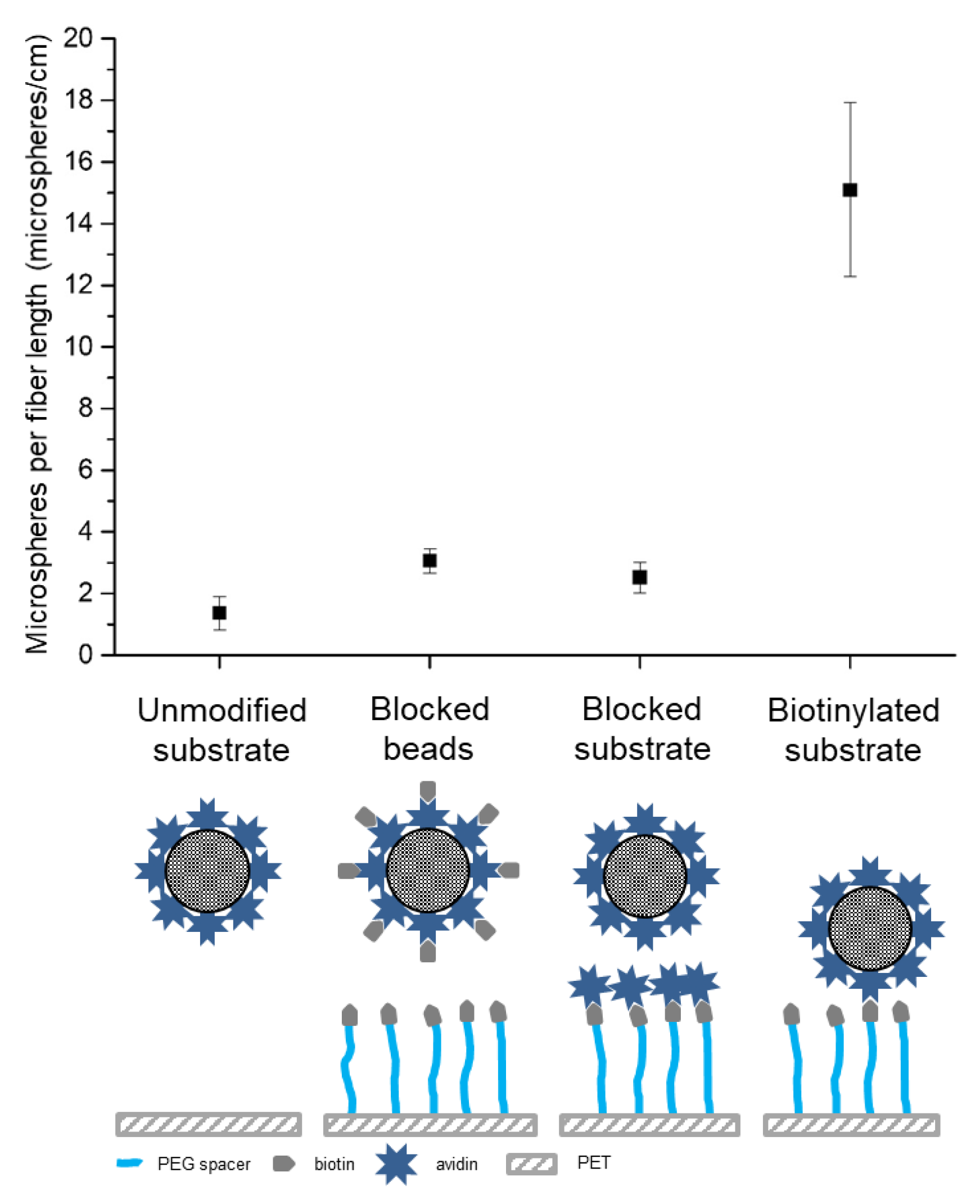 Molecules 24 02036 g006