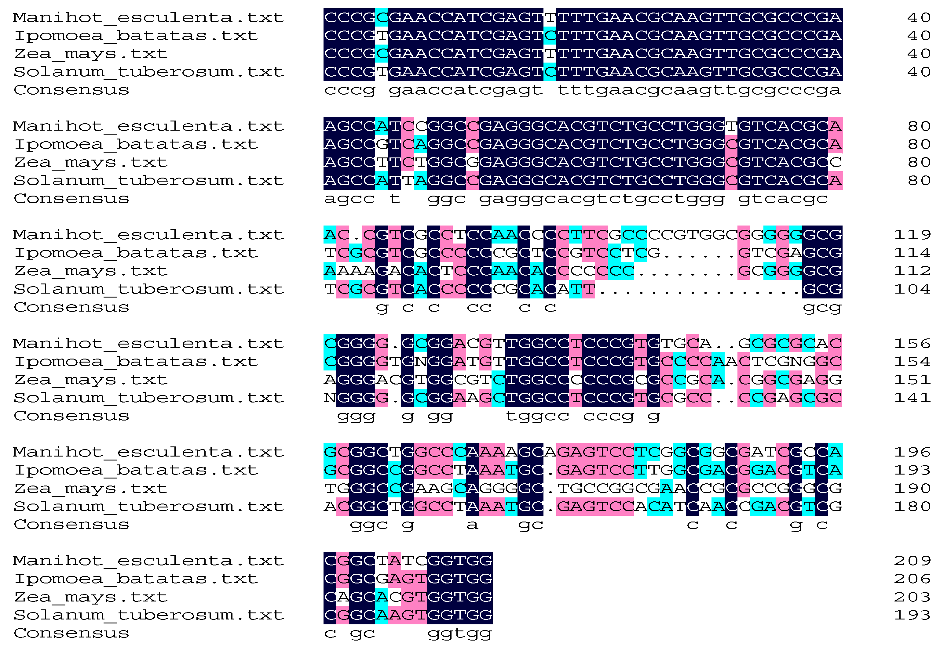 Molecules 24 02043 g001