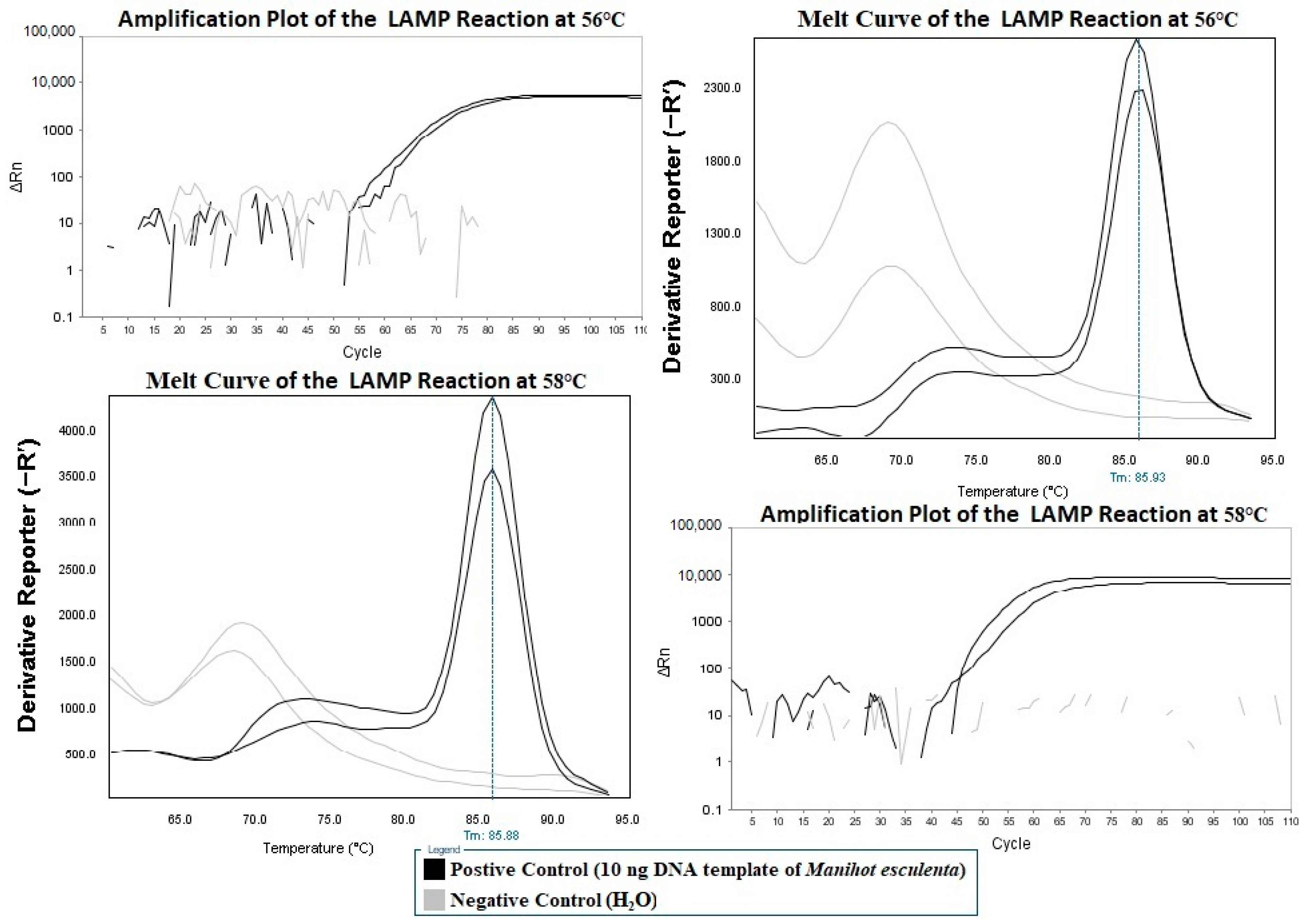 Molecules 24 02043 g002