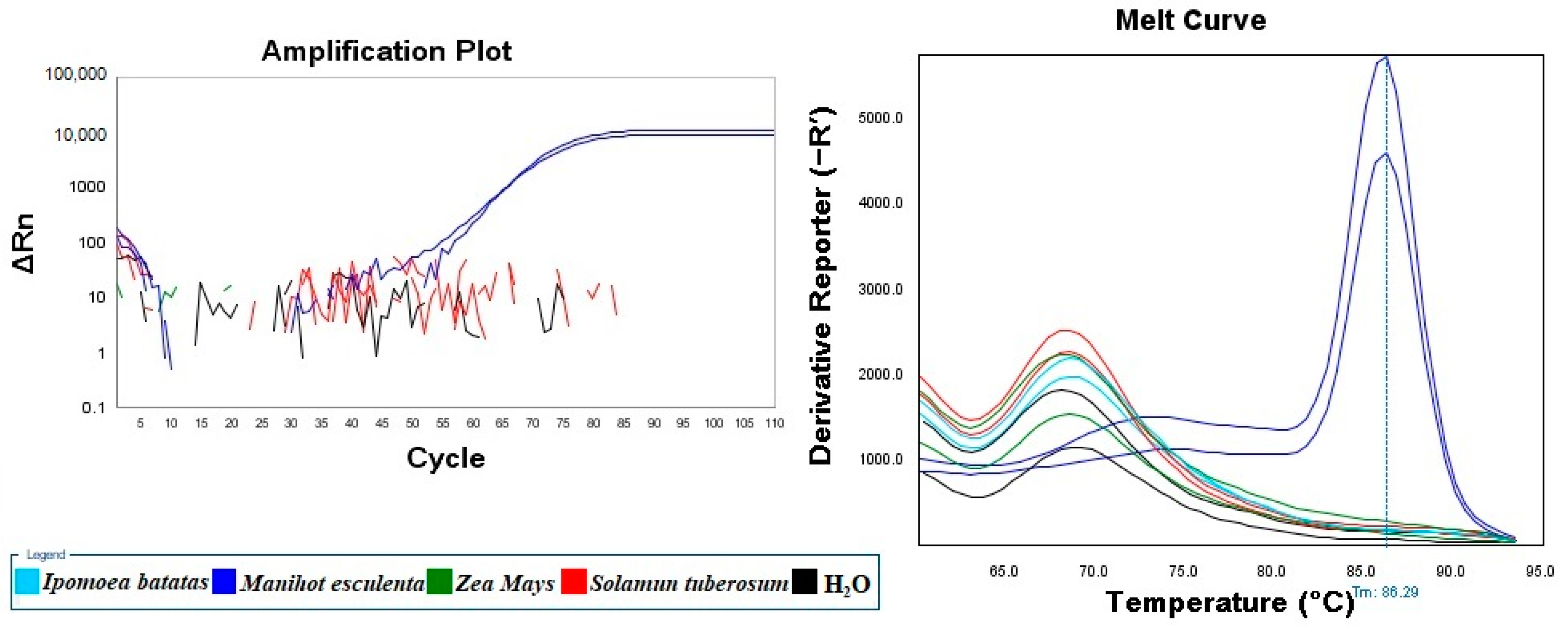 Molecules 24 02043 g003