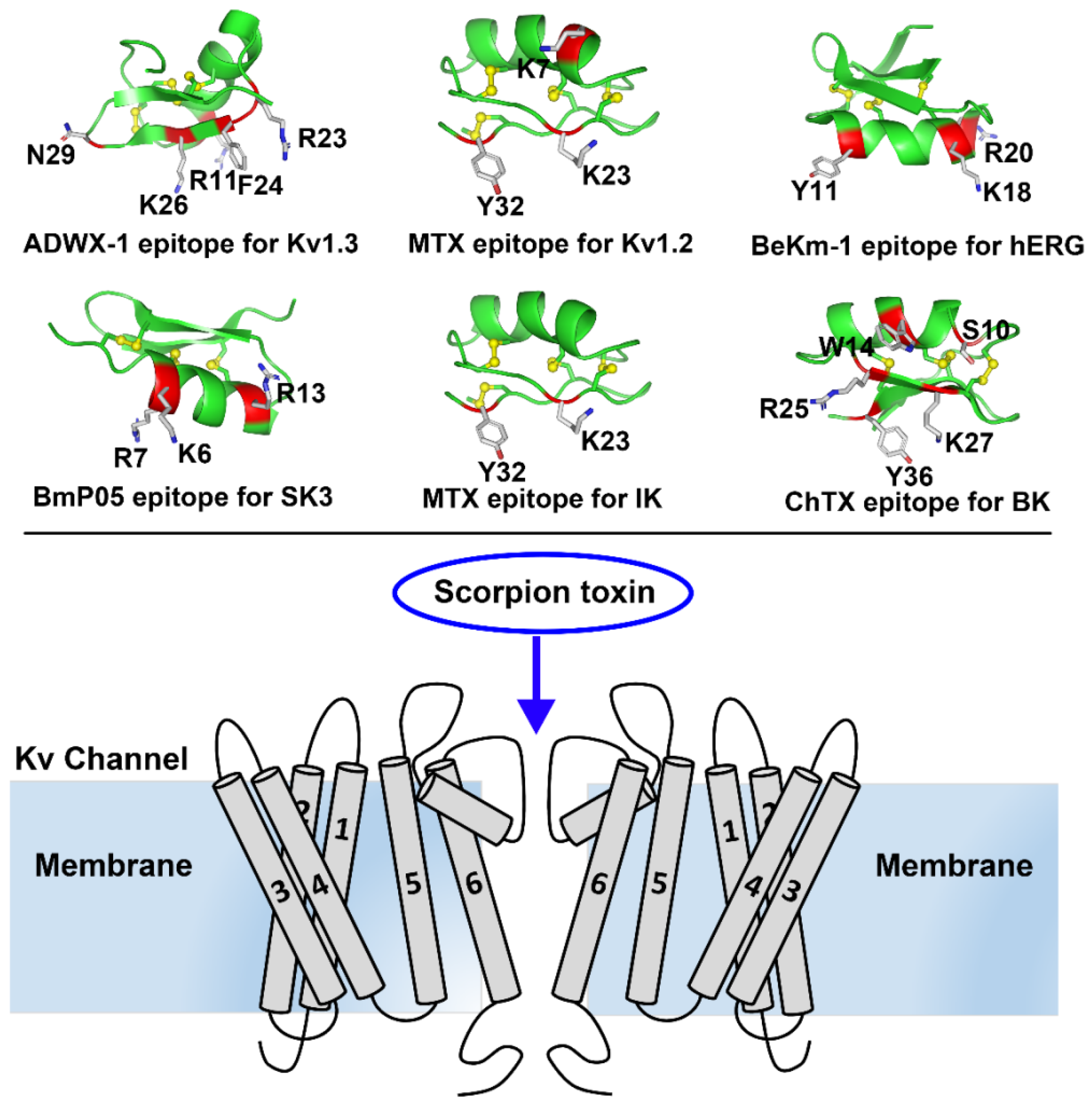 Molecules 24 02045 g001