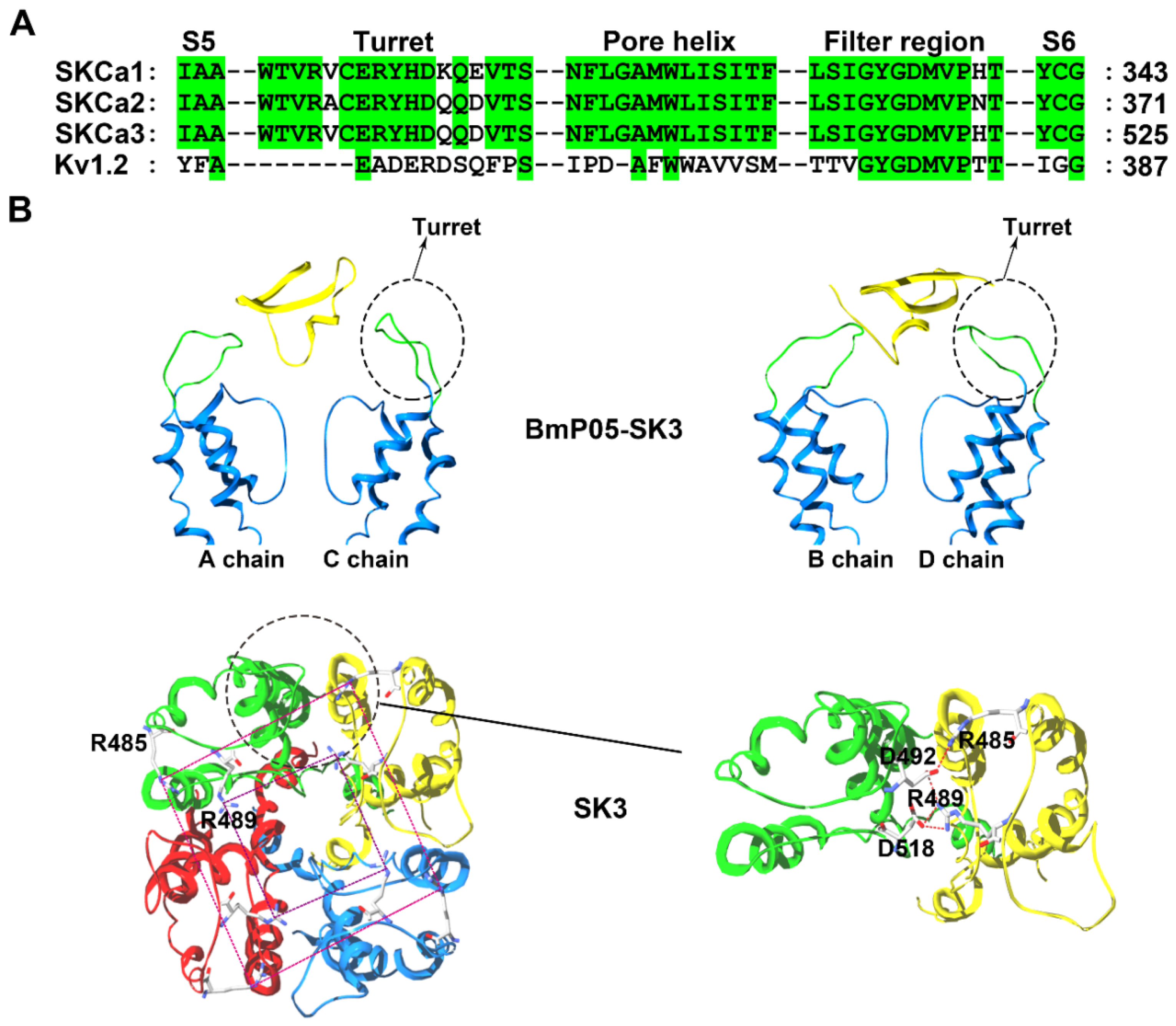 Molecules 24 02045 g004