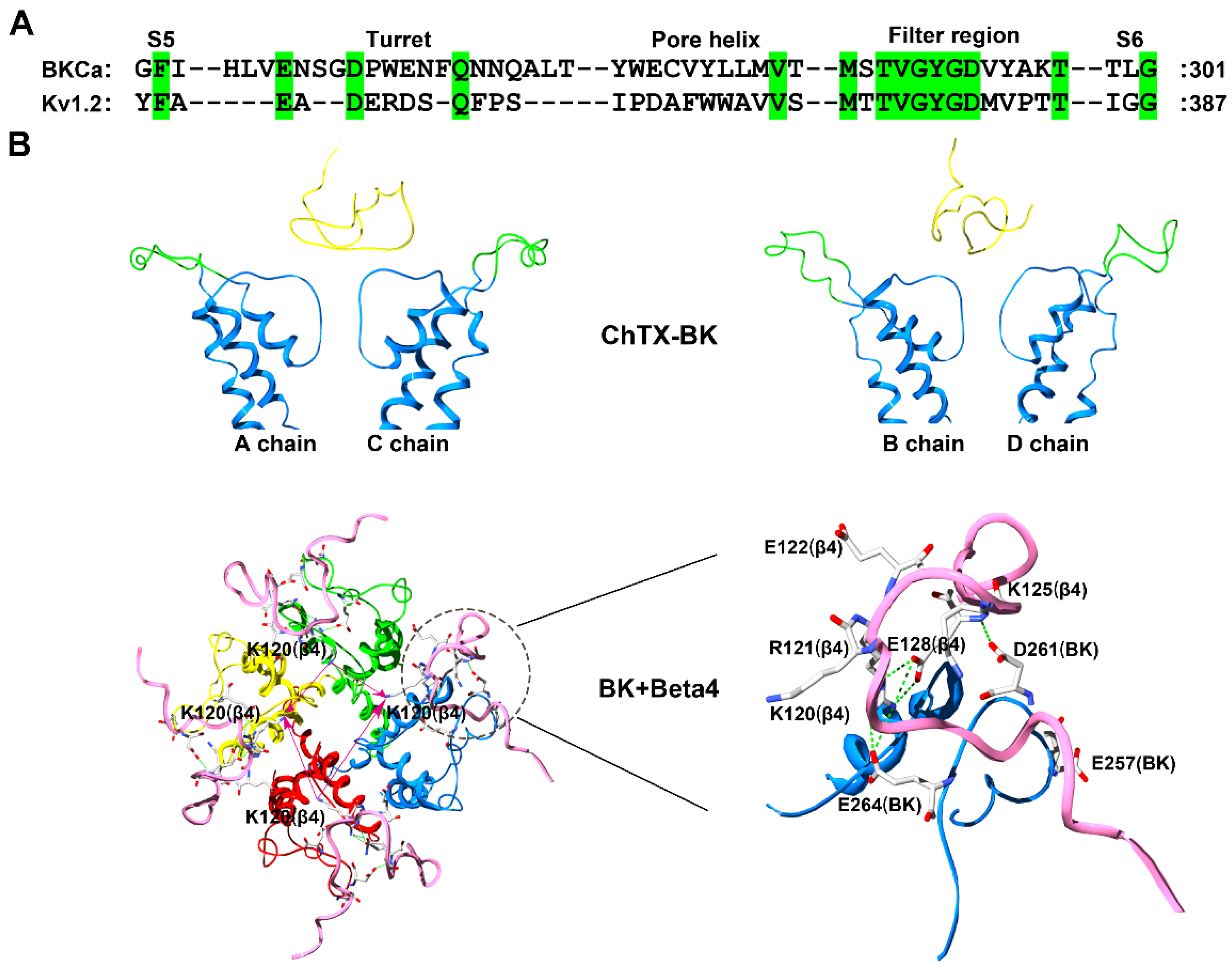 Molecules 24 02045 g006