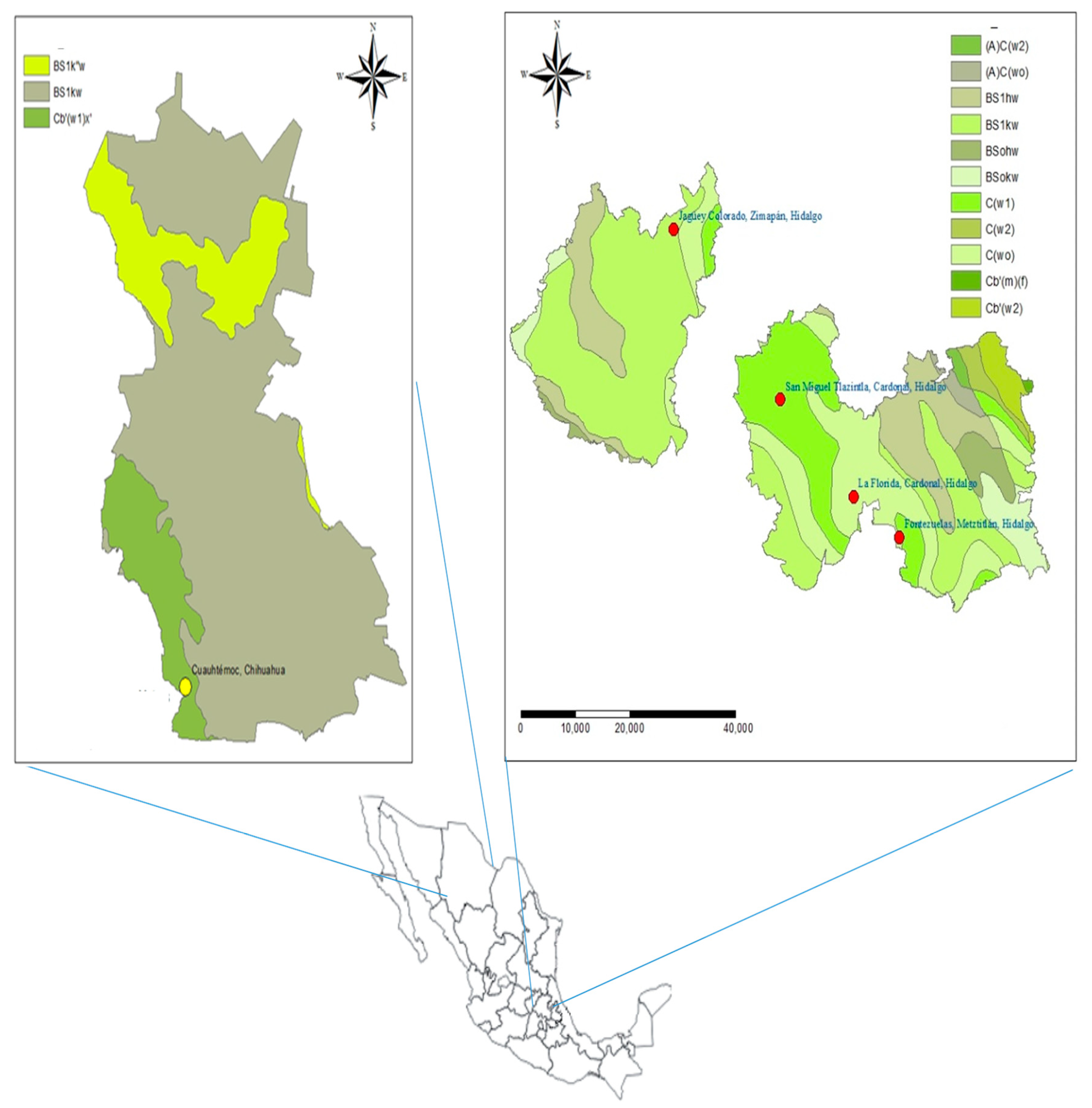 Molecules 24 02057 g004