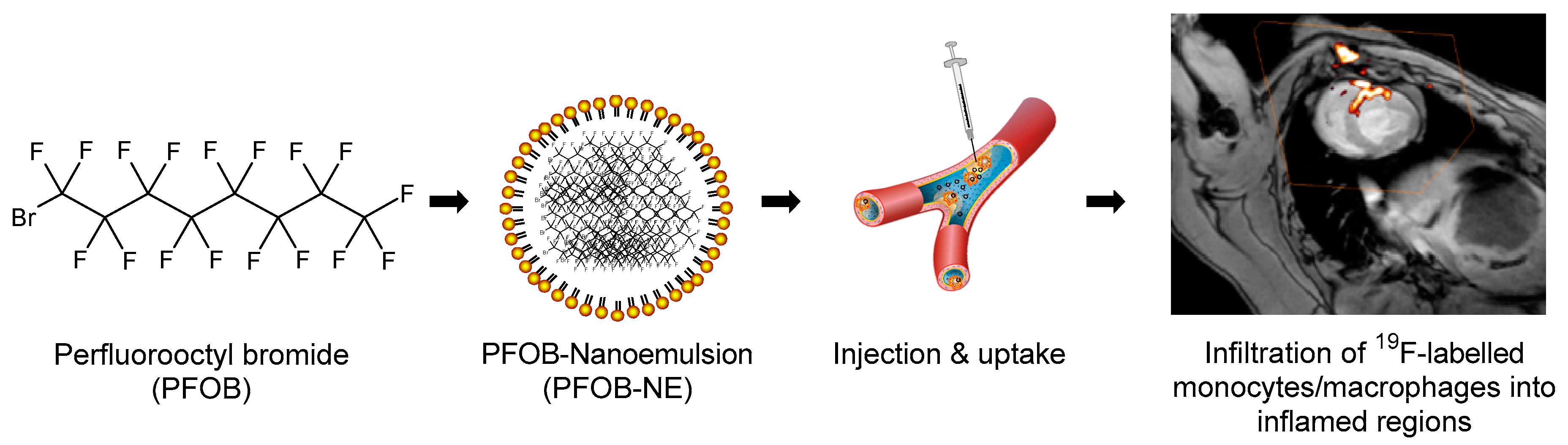 Molecules 24 02058 g001