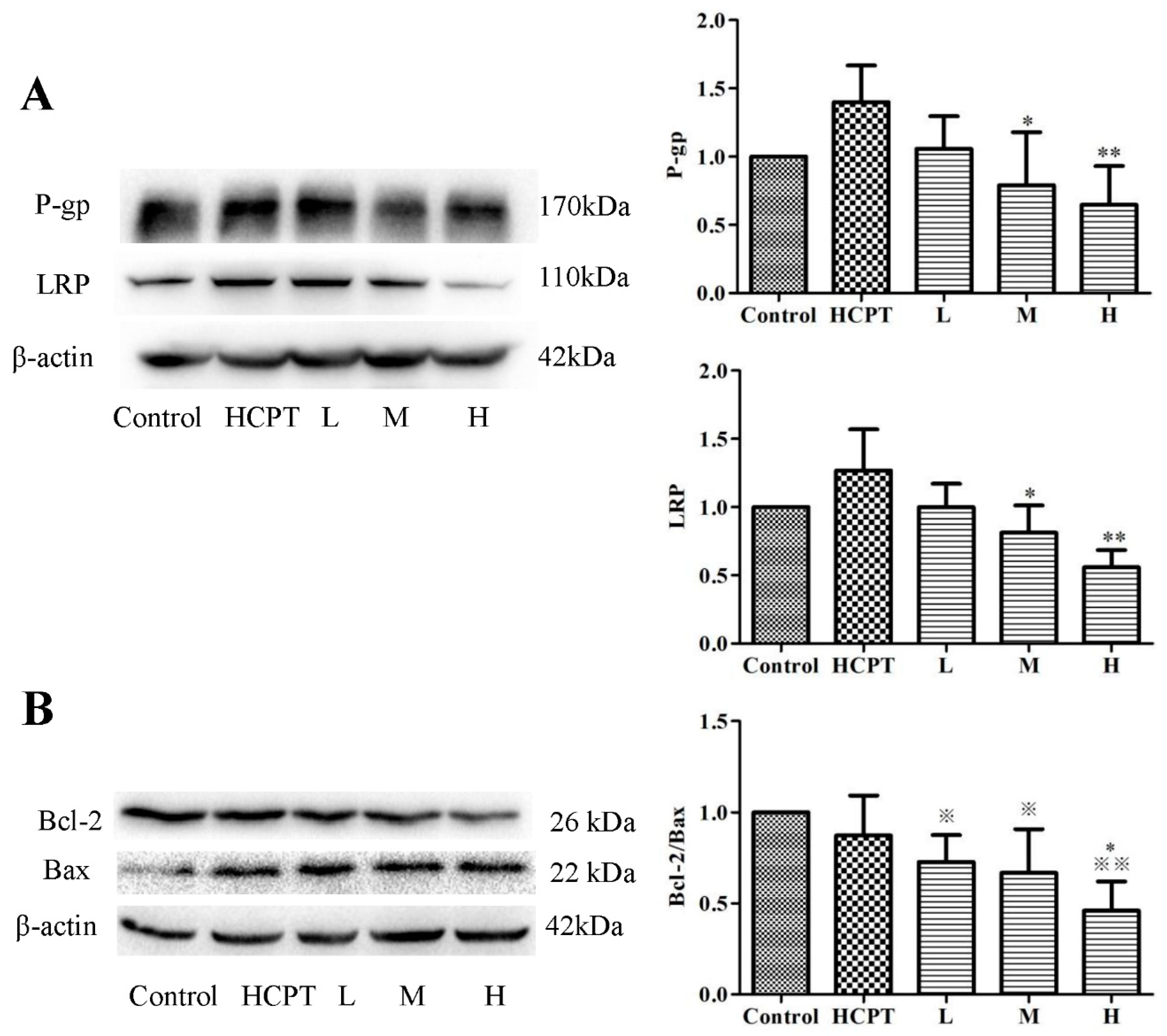 Molecules 24 02068 g004
