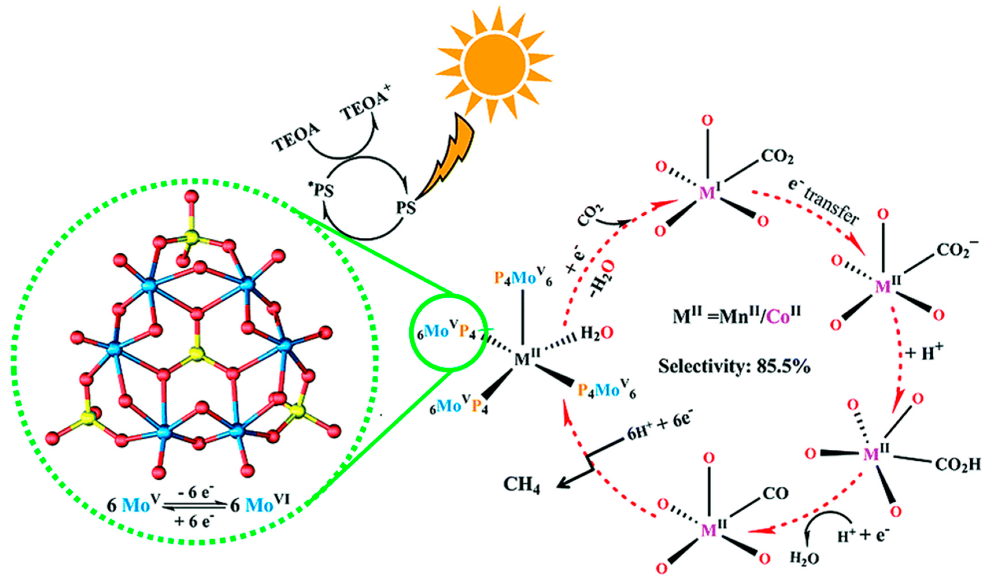 Molecules 24 02069 g010 Molecules 24 02069 g010