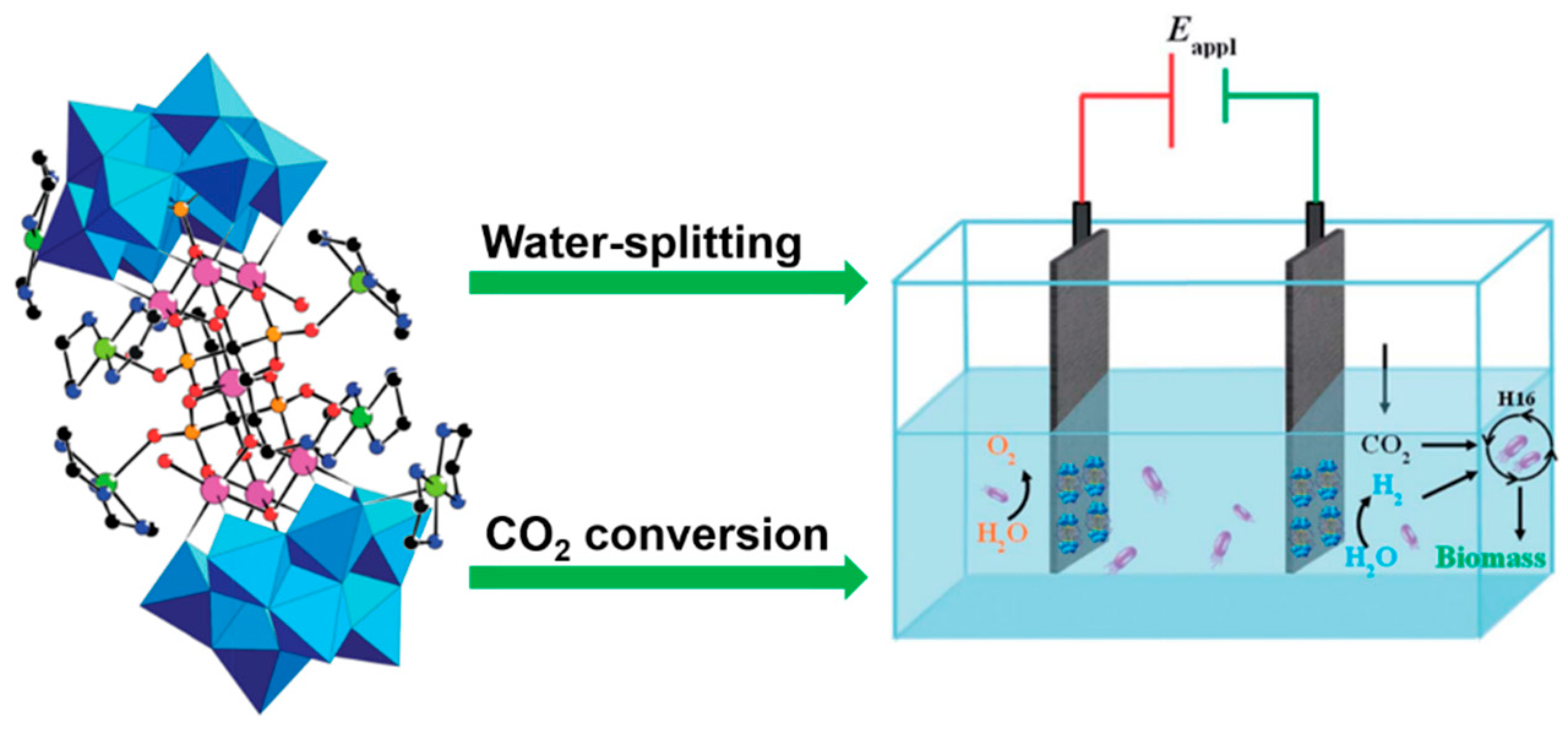 Molecules 24 02069 g015 Molecules 24 02069 g015