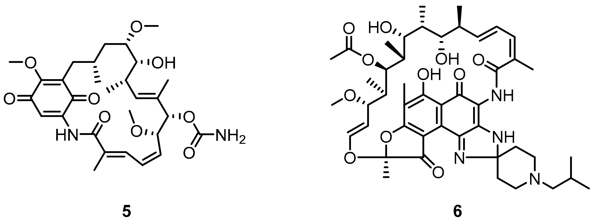 Molecules 24 02071 g004