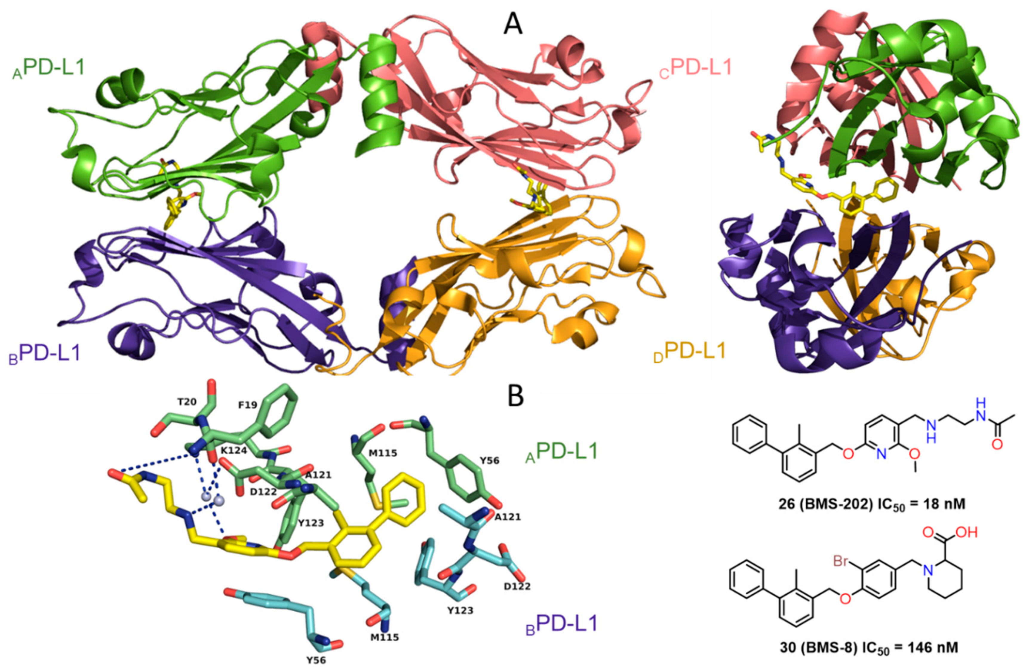 Molecules 24 02071 g014