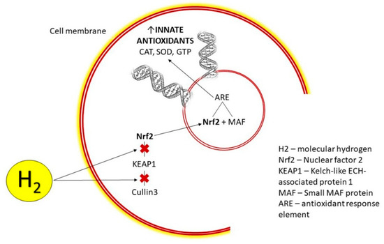 minato A New Approach for the Prevention and Treatment of