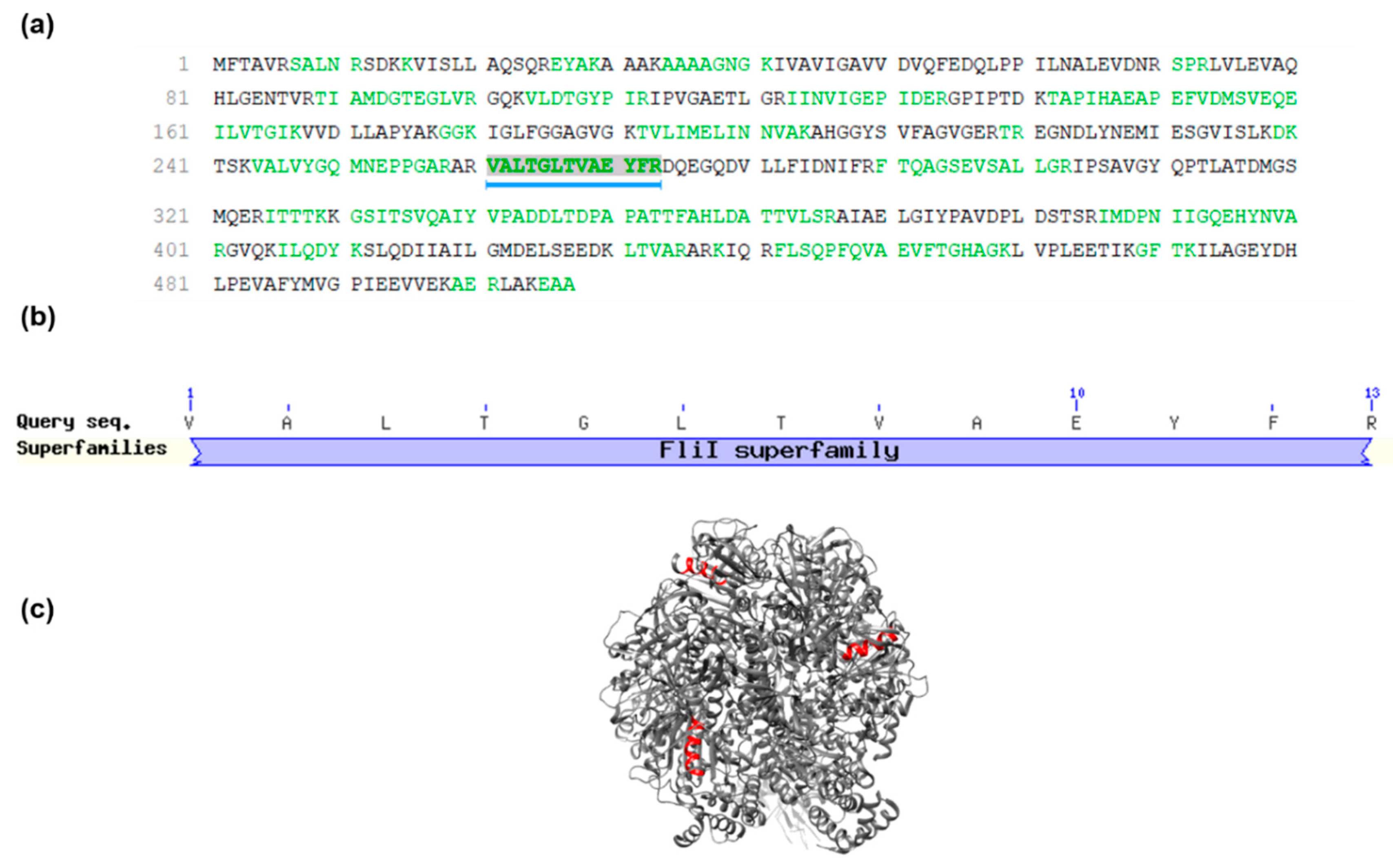 Molecules Free Full Text Sarconesin Ii A New Antimicrobial Peptide Isolated From Sarconesiopsis Magellanica Excretions And Secretions Html