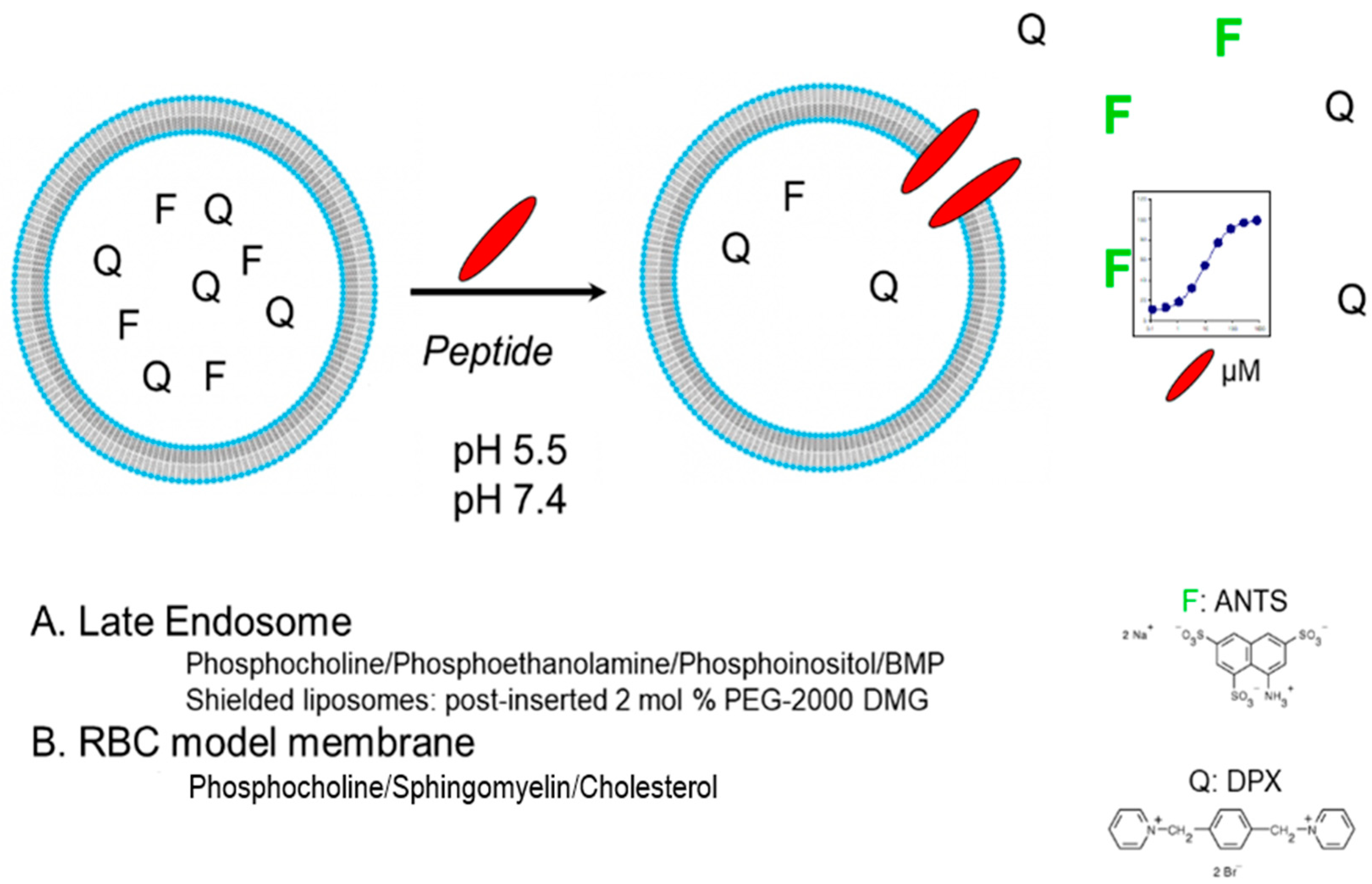 Molecules 24 02079 g004