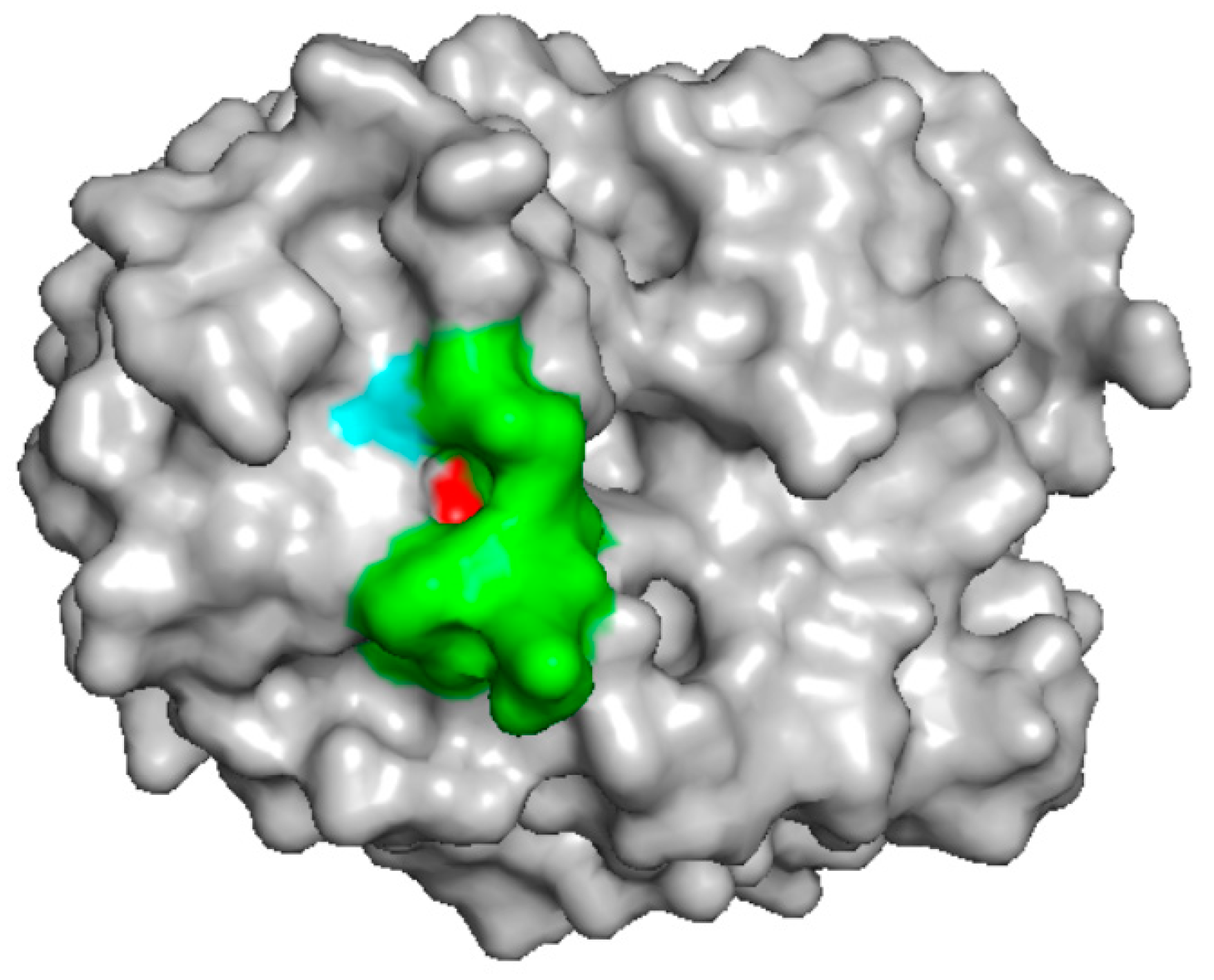 Molecules 24 02087 g003