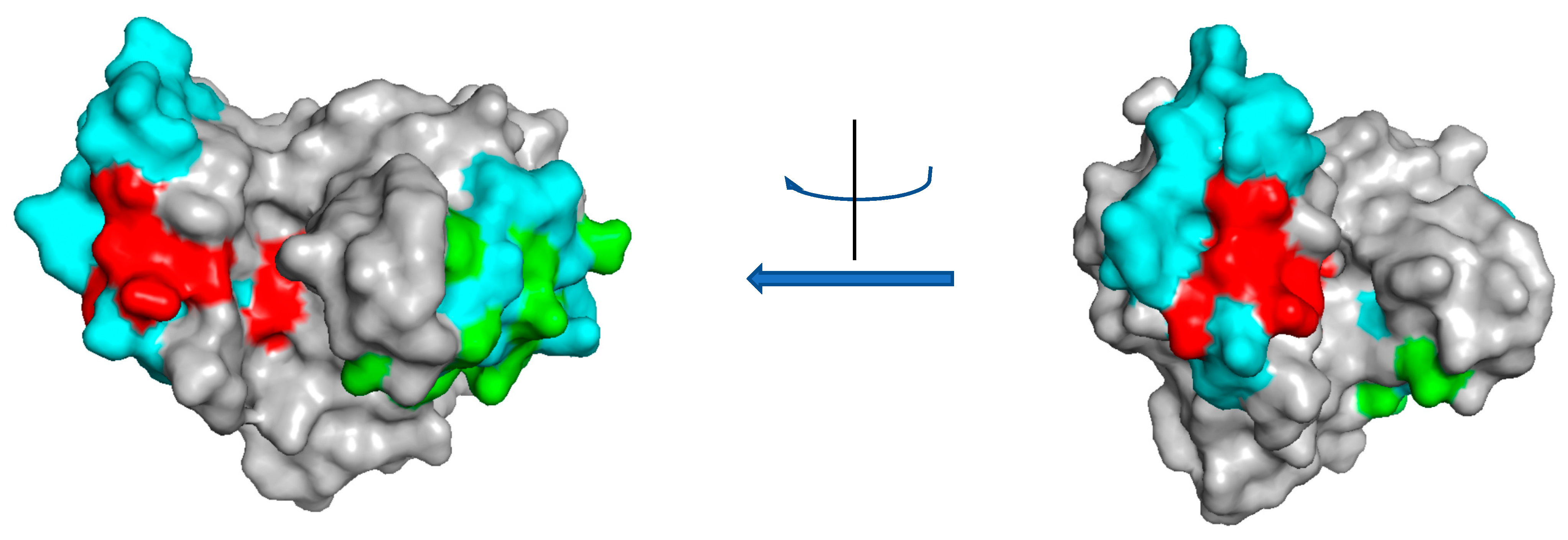 Molecules 24 02087 g004