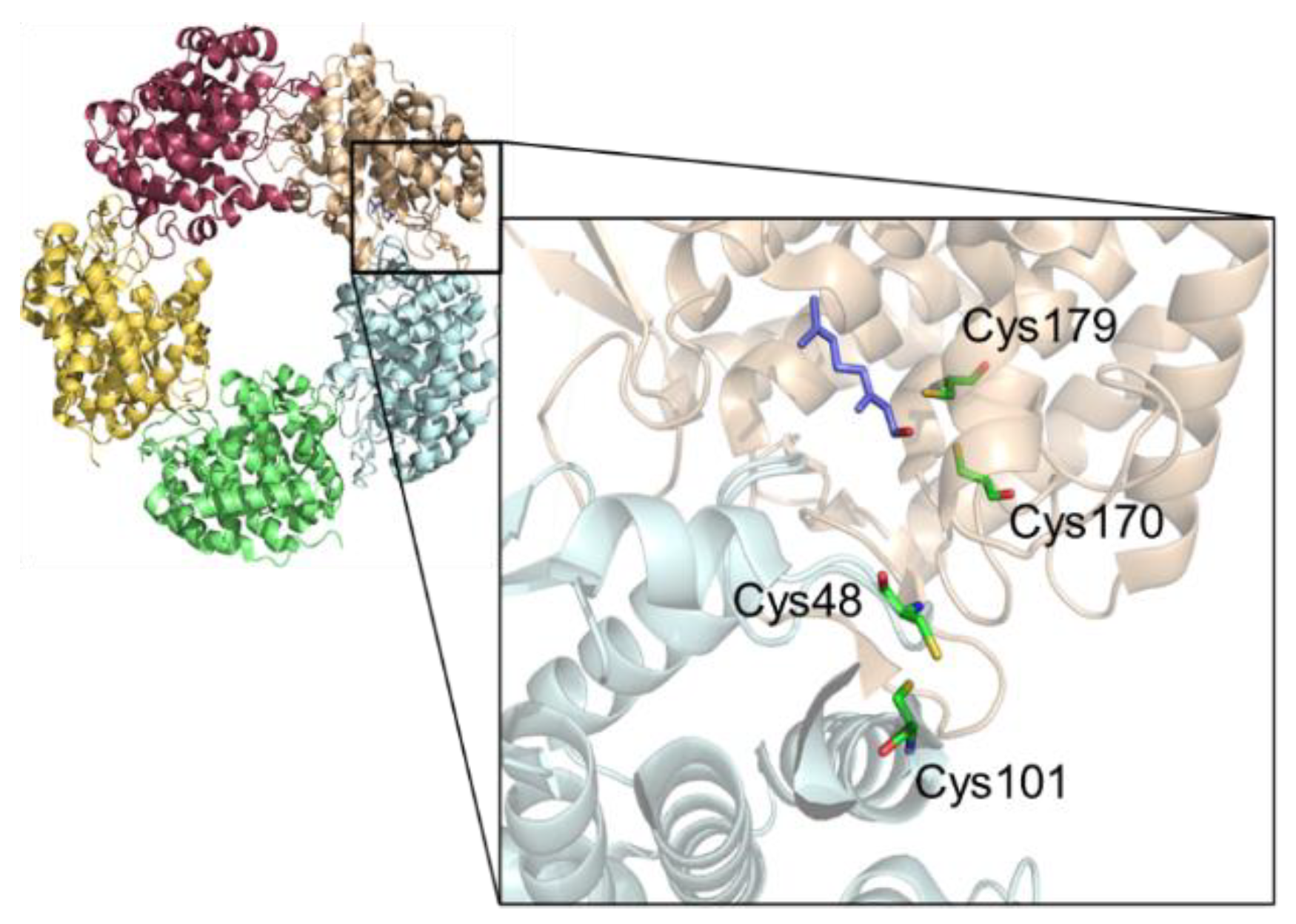 Molecules 24 02092 g001