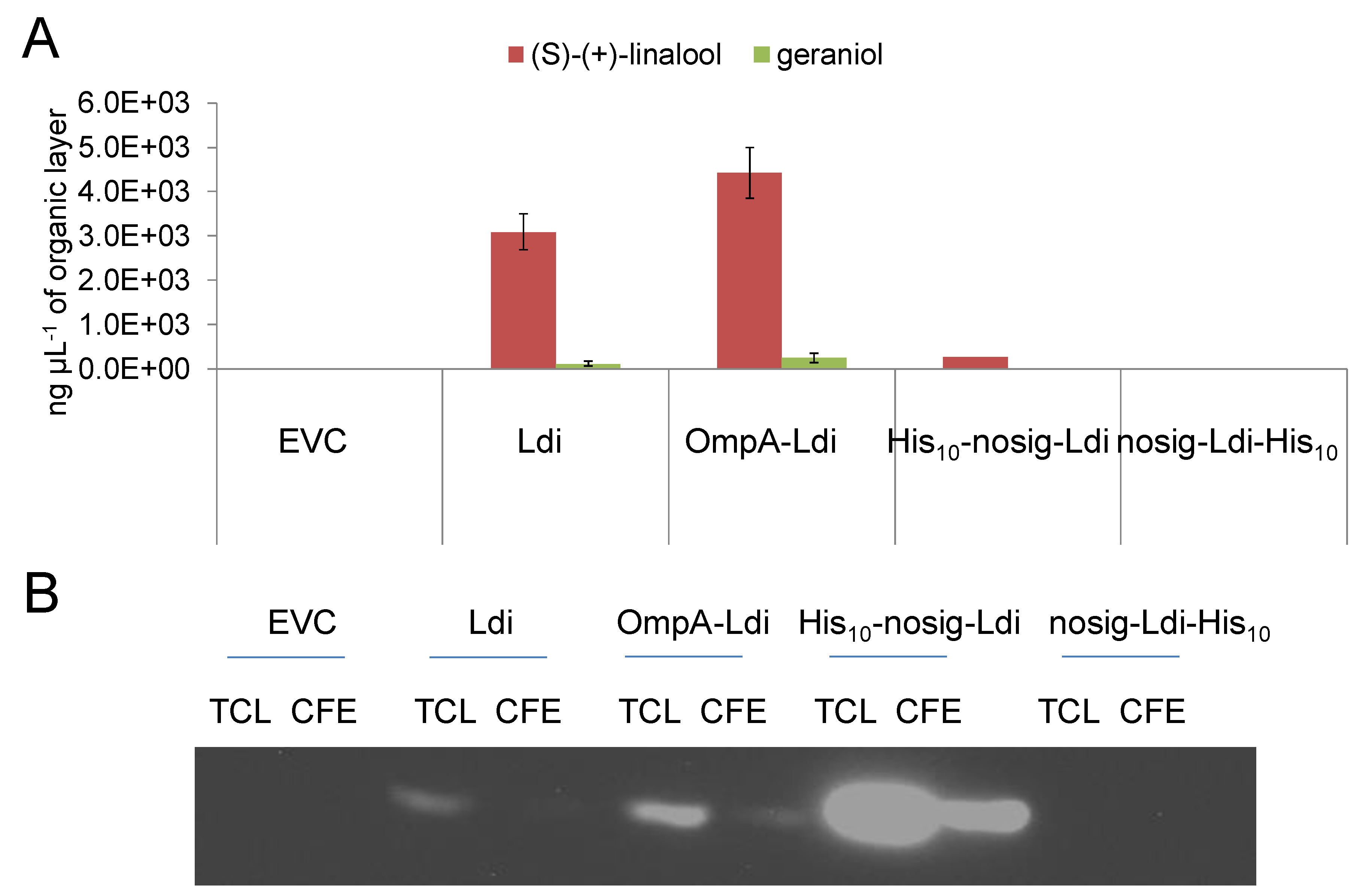 Molecules 24 02092 g004