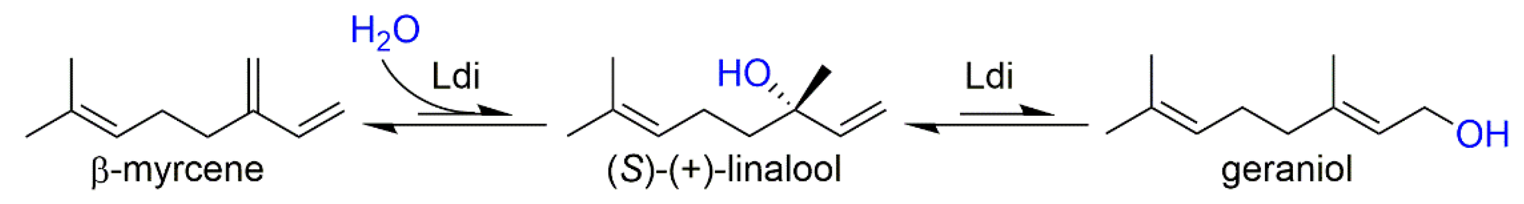 Molecules 24 02092 sch001
