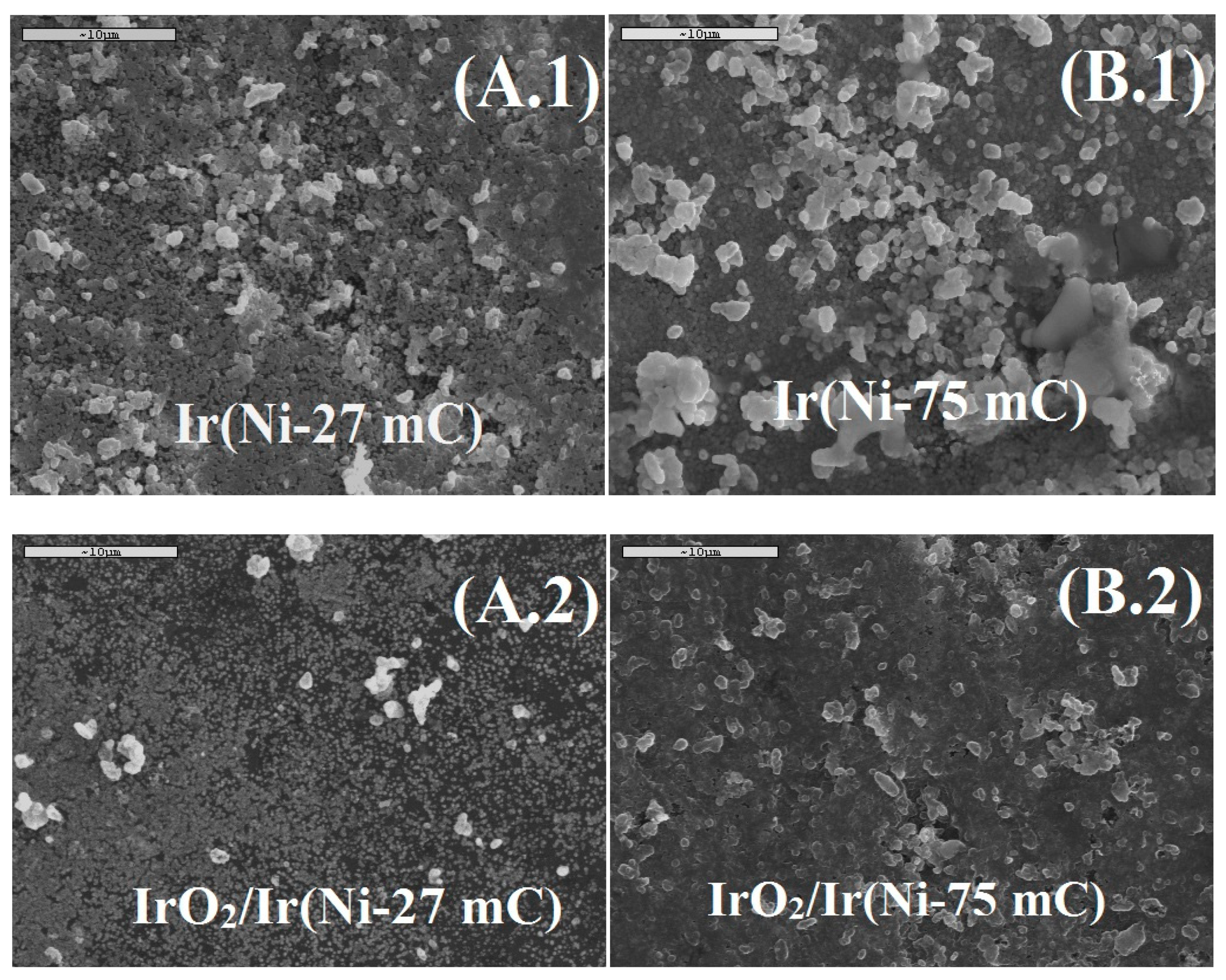 Molecules 24 02095 g001 Molecules 24 02095 g001