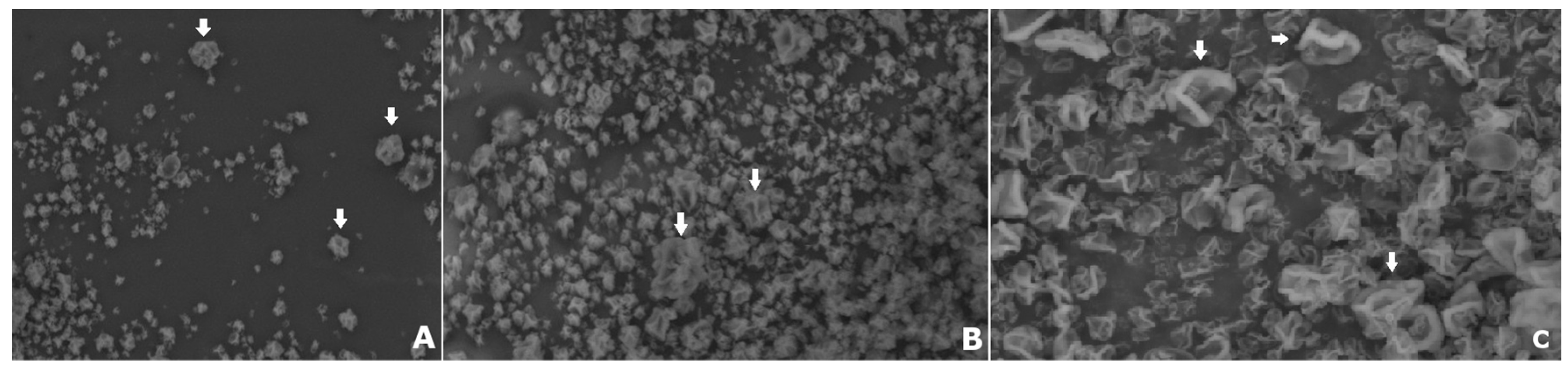 Molecules 24 02099 g009 Molecules 24 02099 g009