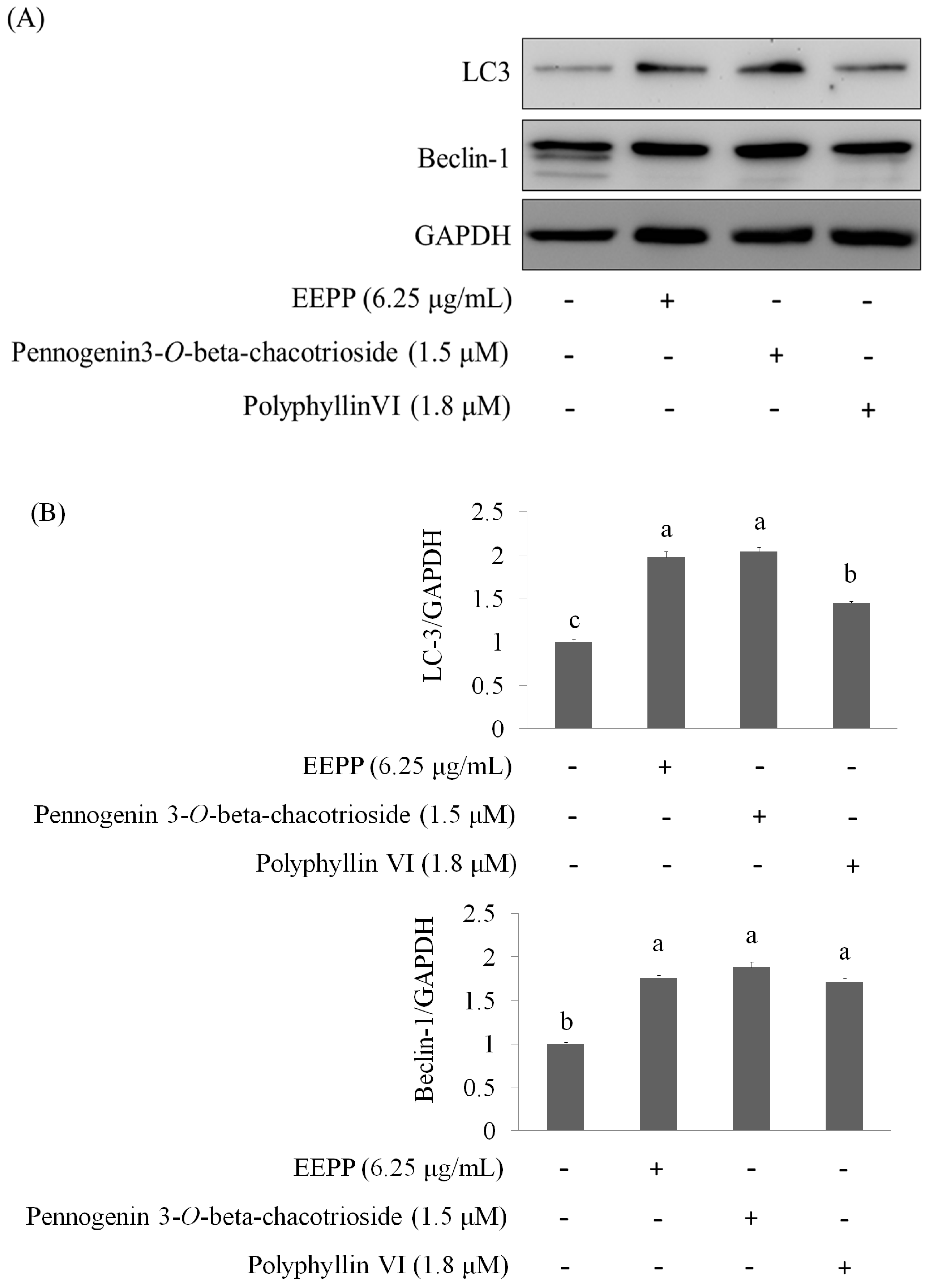 Molecules 24 02102 g008 Molecules 24 02102 g008