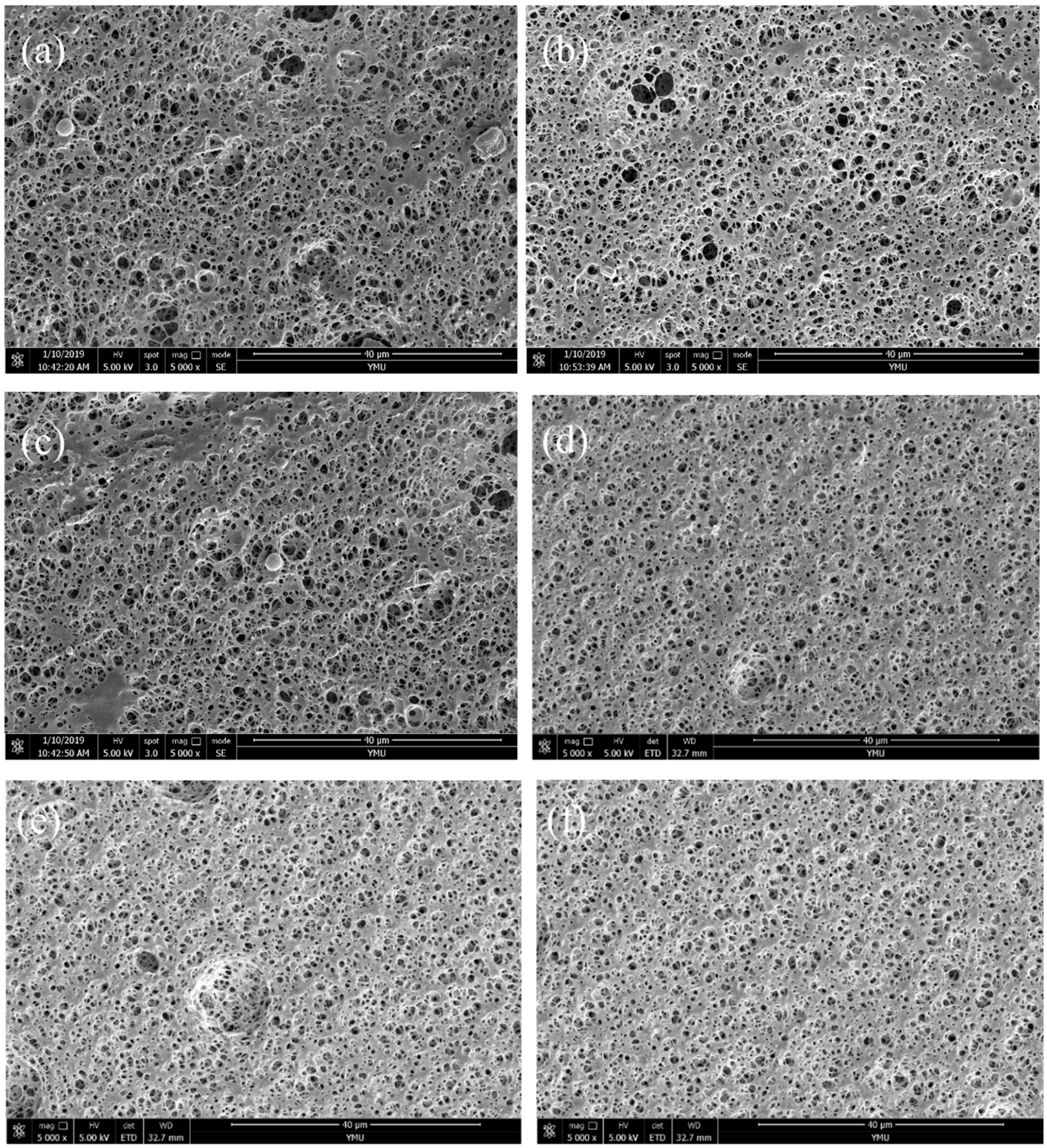 Molecules 24 02104 g006 Molecules 24 02104 g006