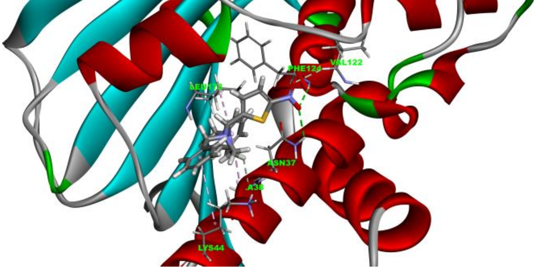 Molecules 24 02105 g004