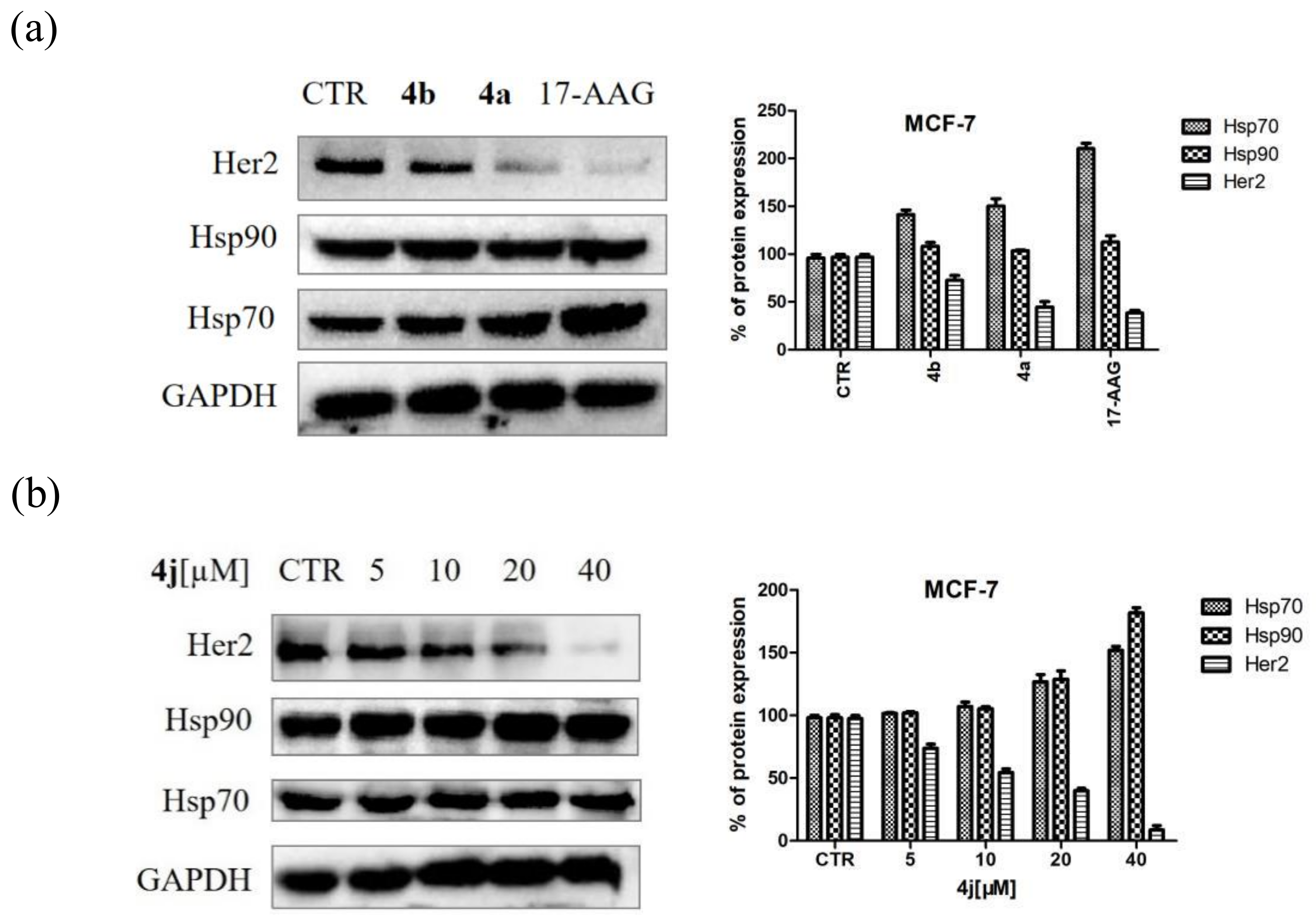 Molecules 24 02105 g005