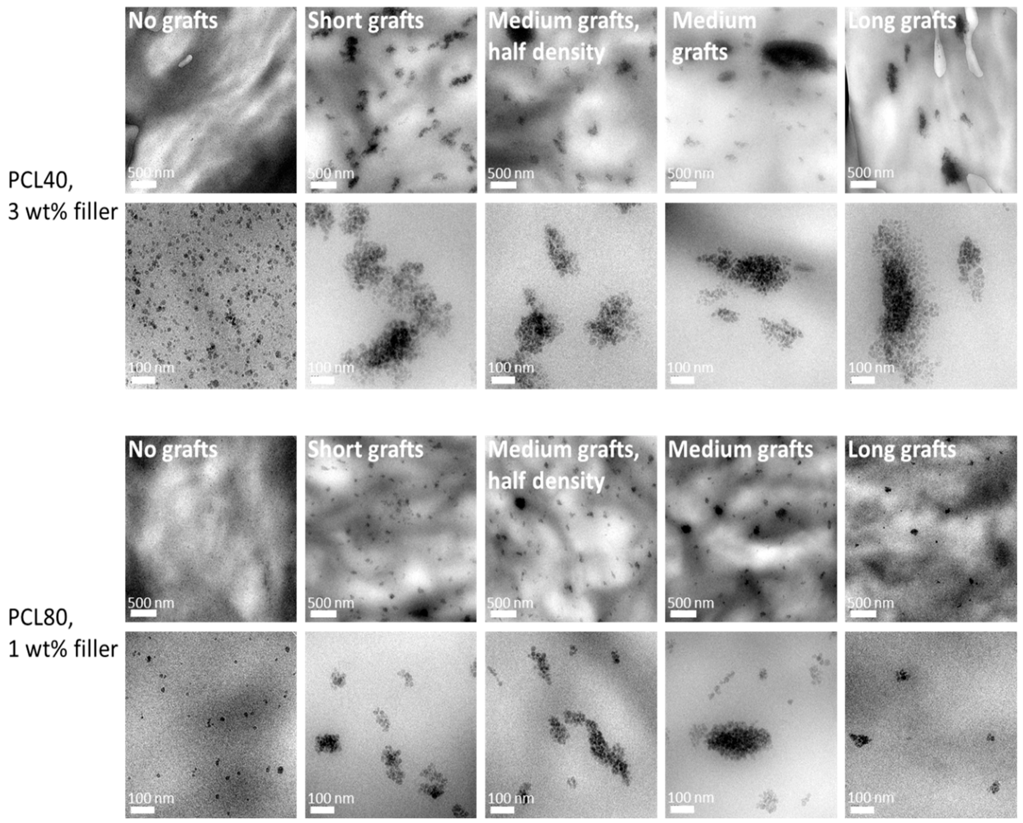 Molecules 24 02106 g005 550