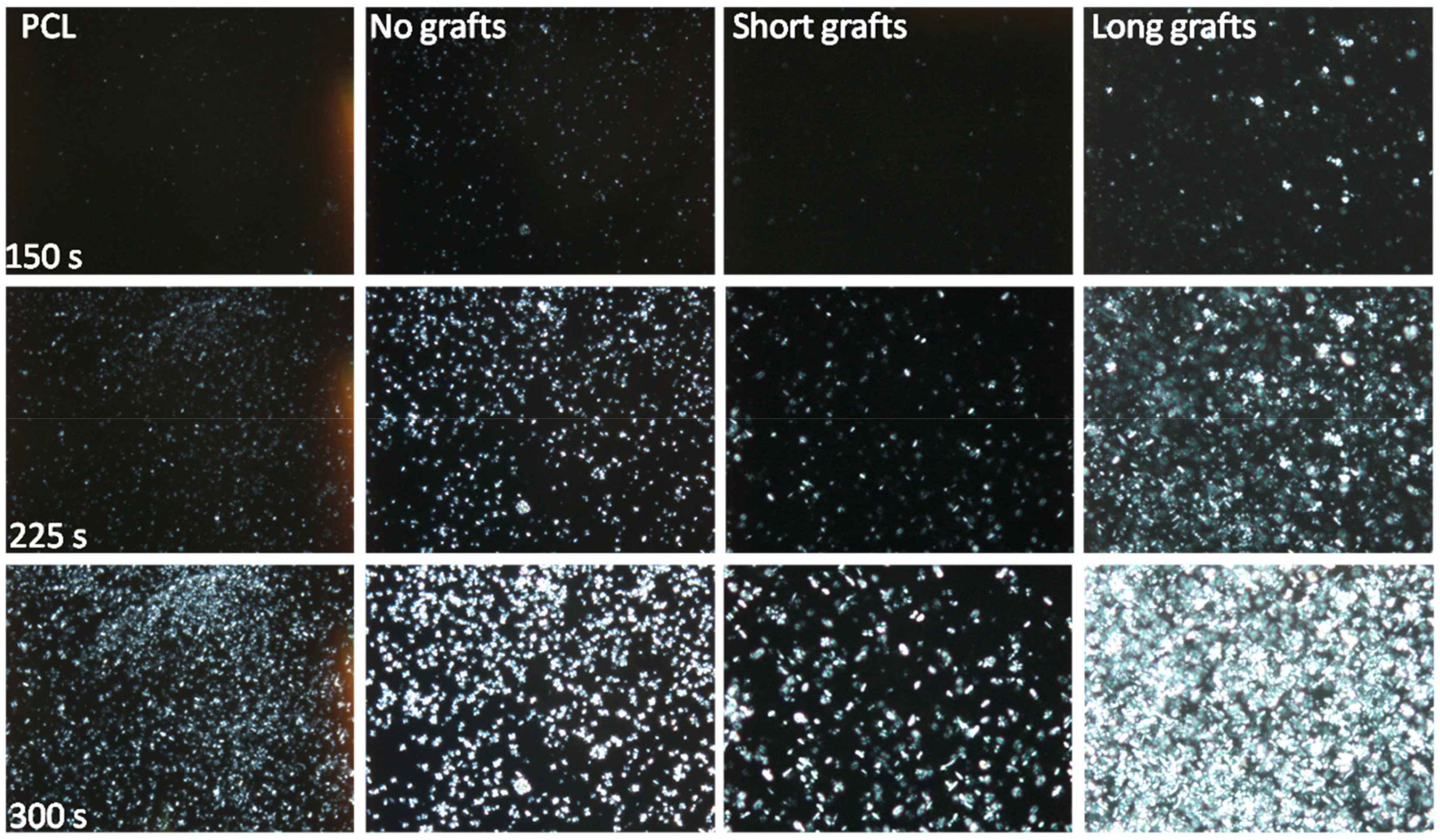 Molecules 24 02106 g008 550