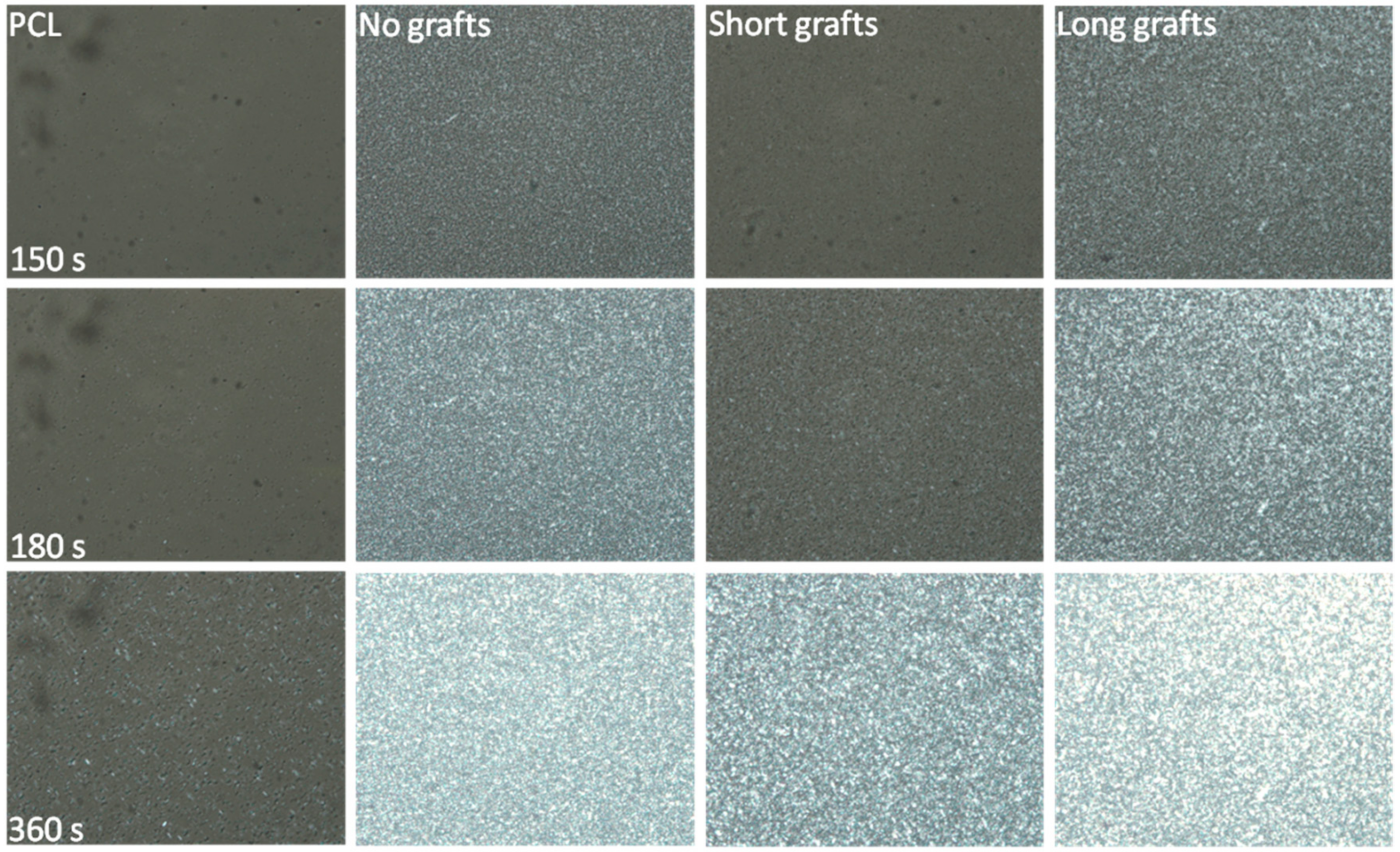 Molecules 24 02106 g010 550