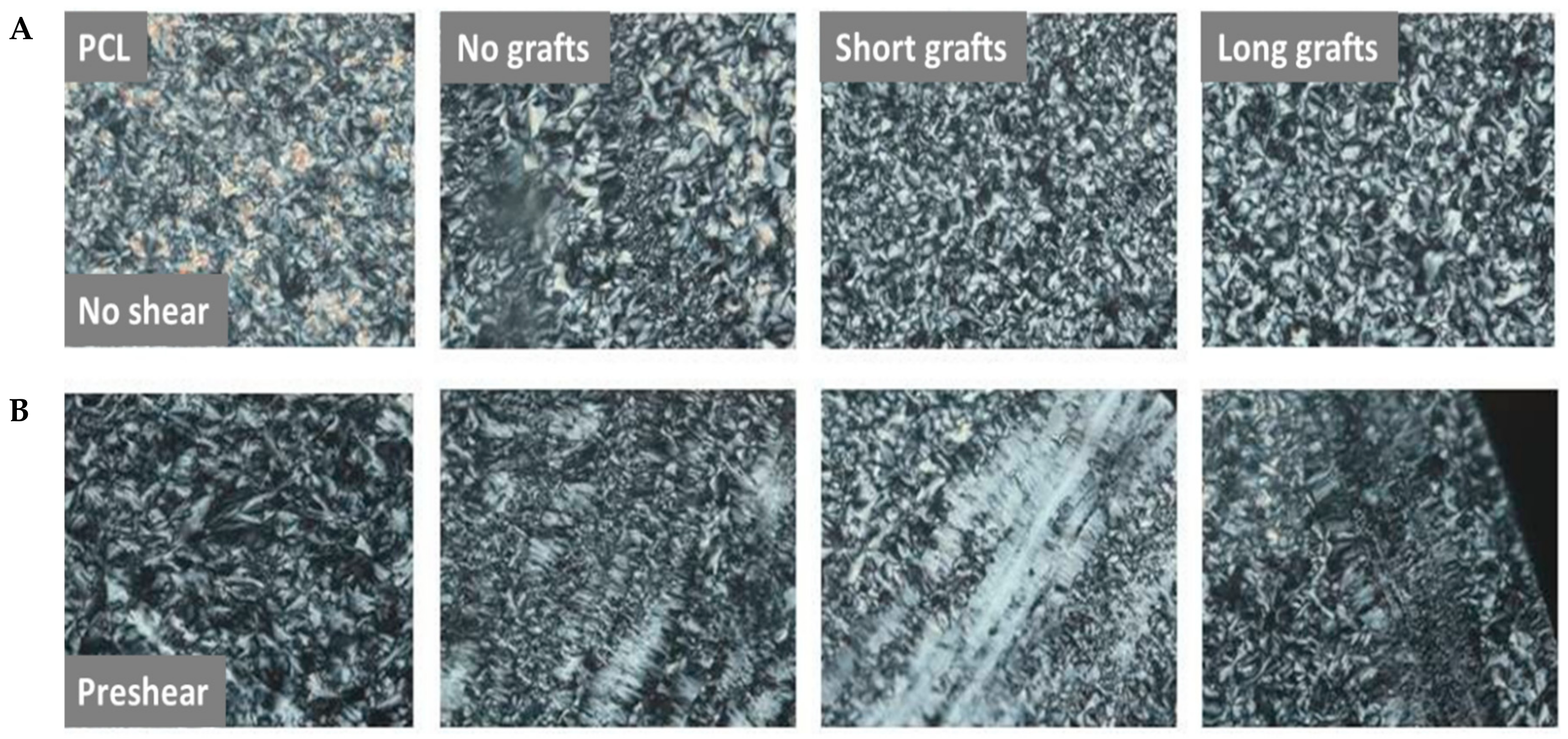 Molecules 24 02106 g015 550